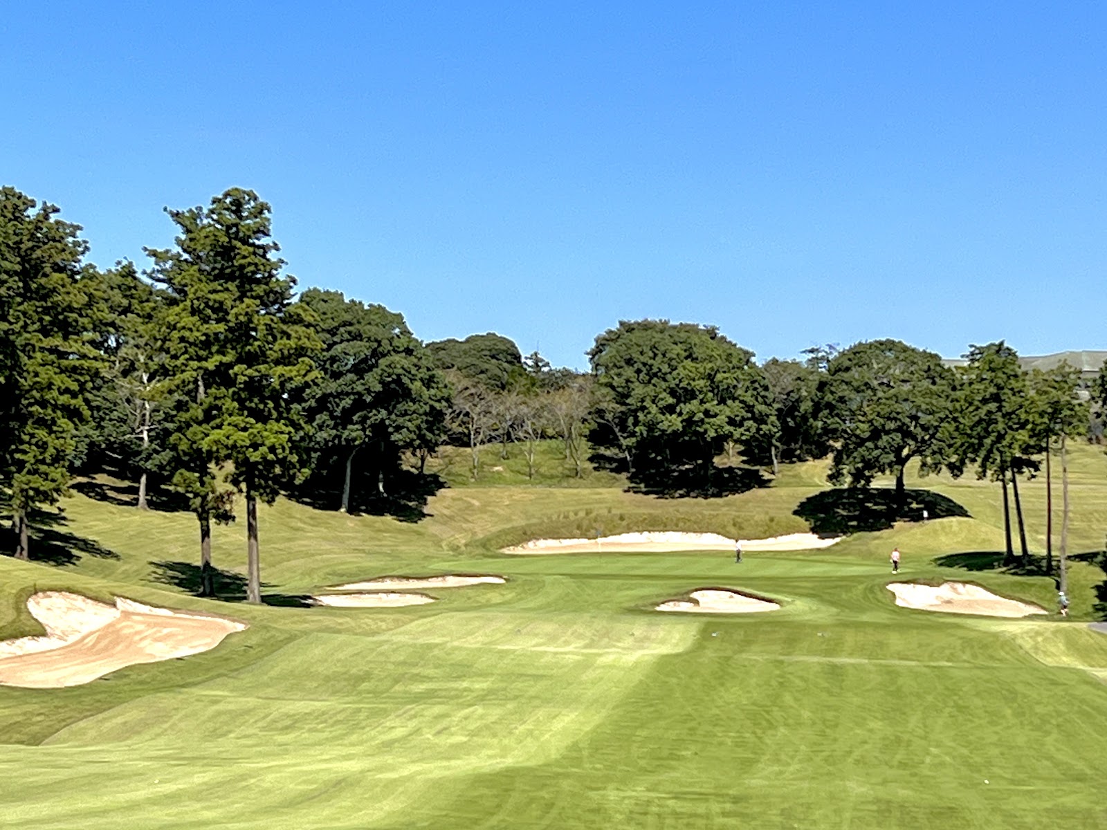 Chiba Sakuranosato Golf Club - 3