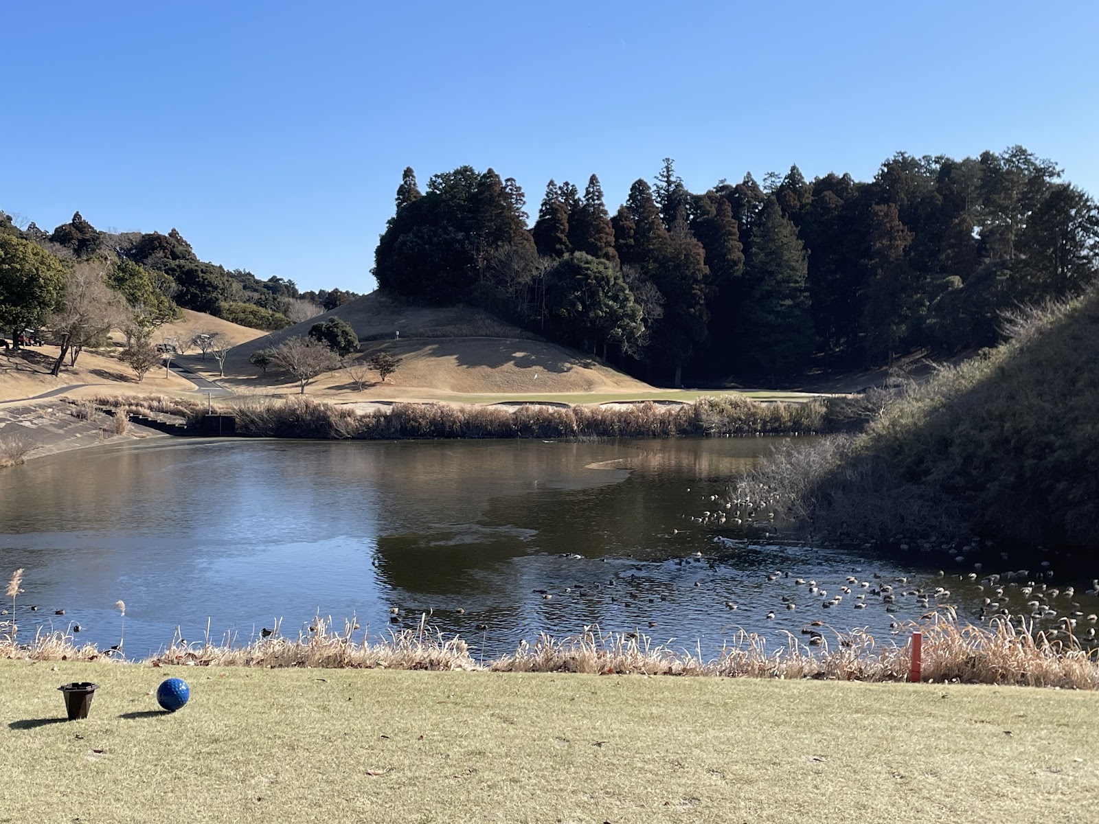 Chiba Sakuranosato Golf Club - 4