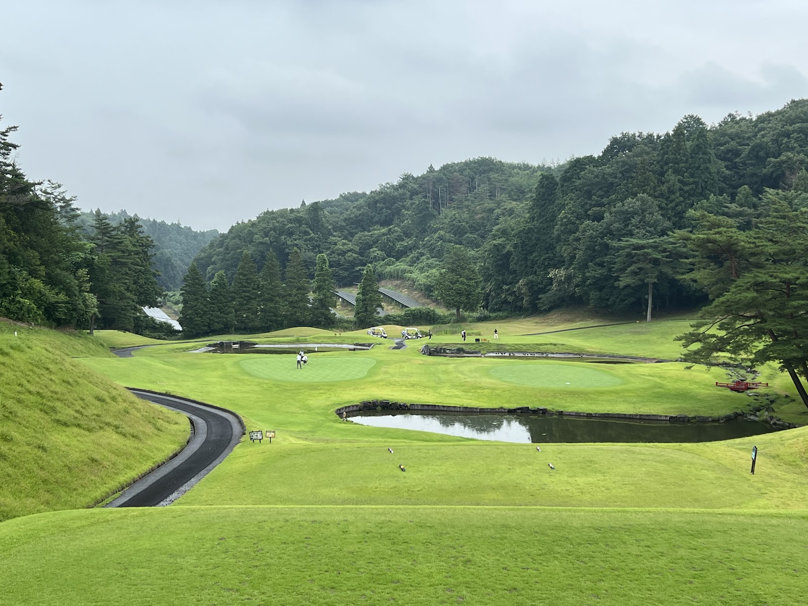 New Central Golf Club