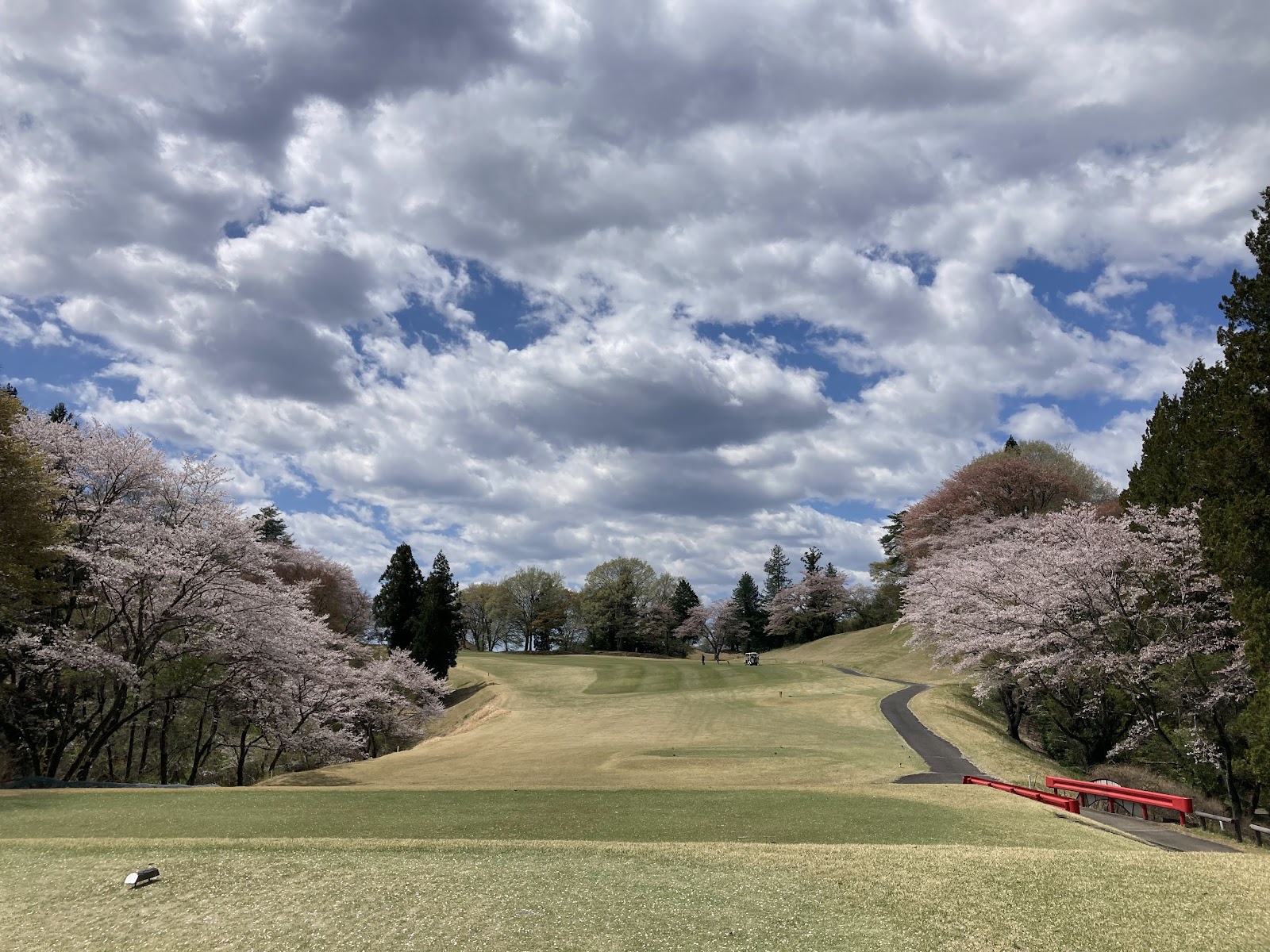New Central Golf Club - 3