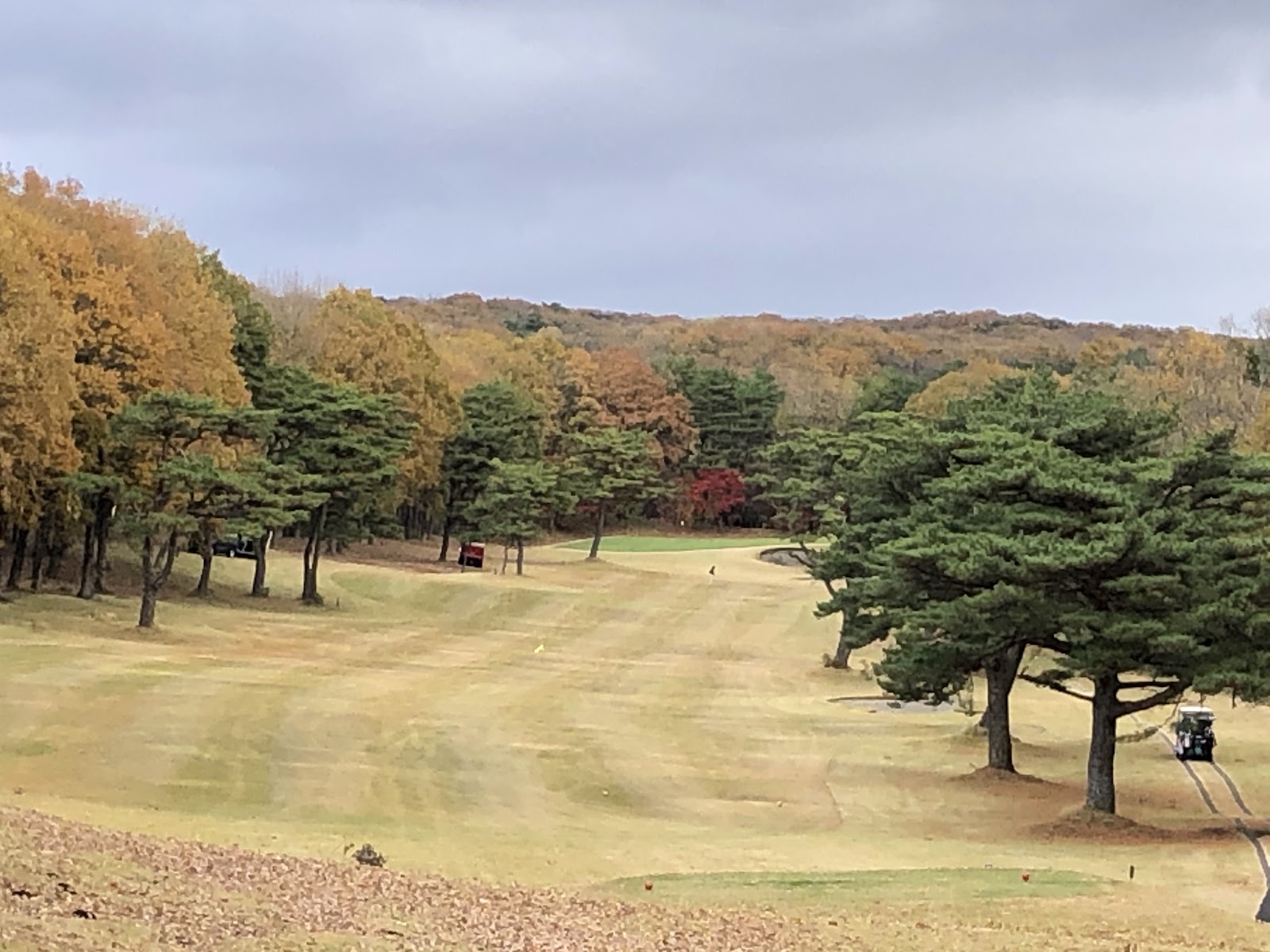 Nasu International Country Club - 2