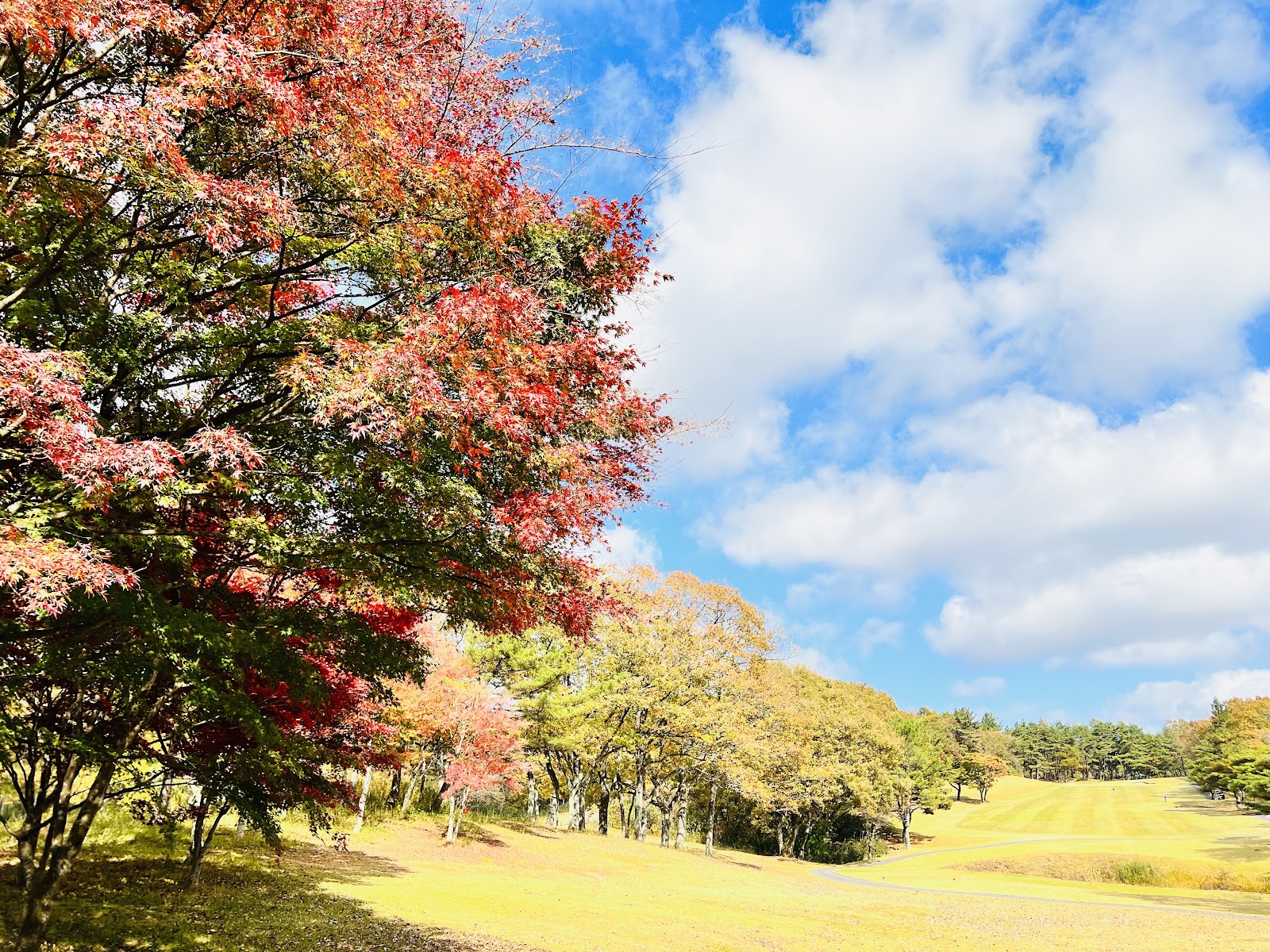Nasu International Country Club - 4