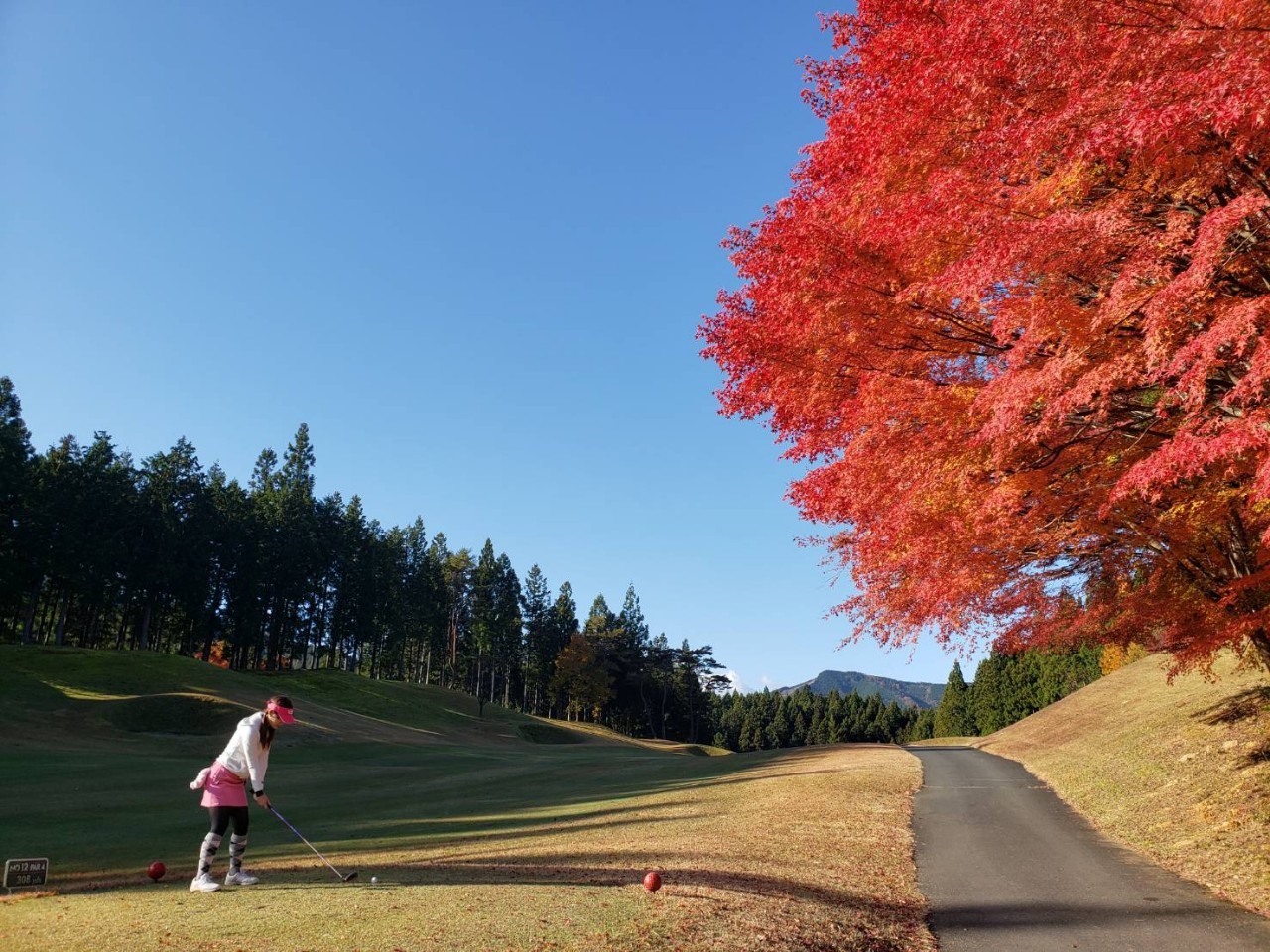Nikko Premier Golf Club - 5