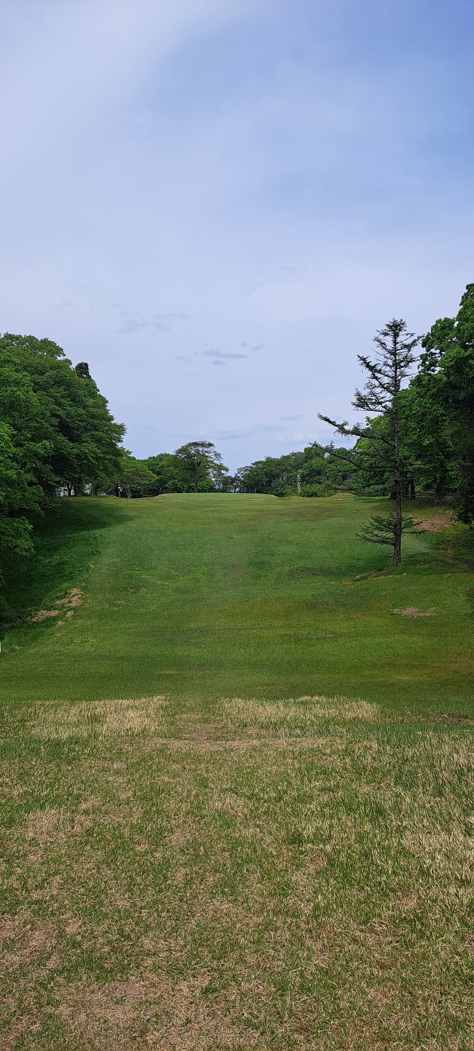 Refresh Garden