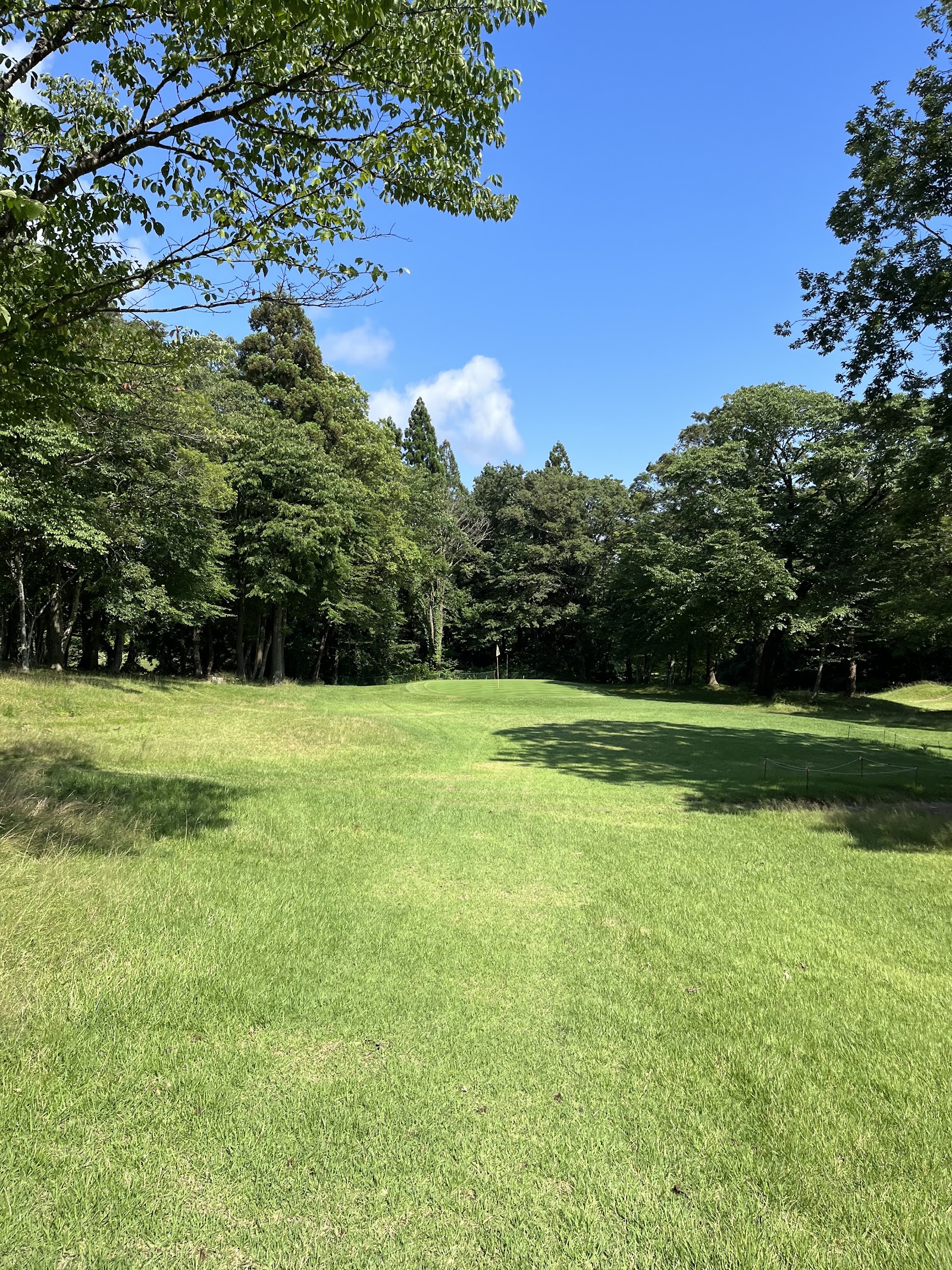 Refresh Garden - 6
