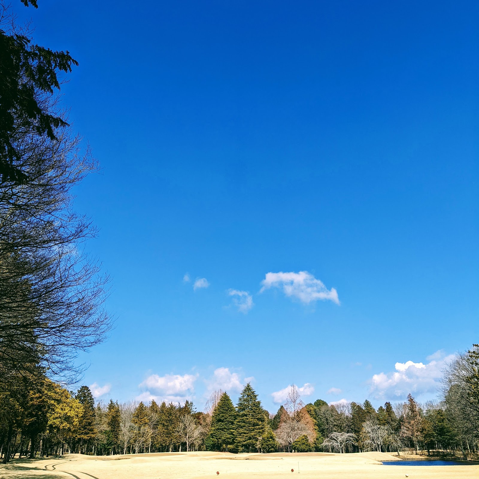 Miyanomori Country Club - 2