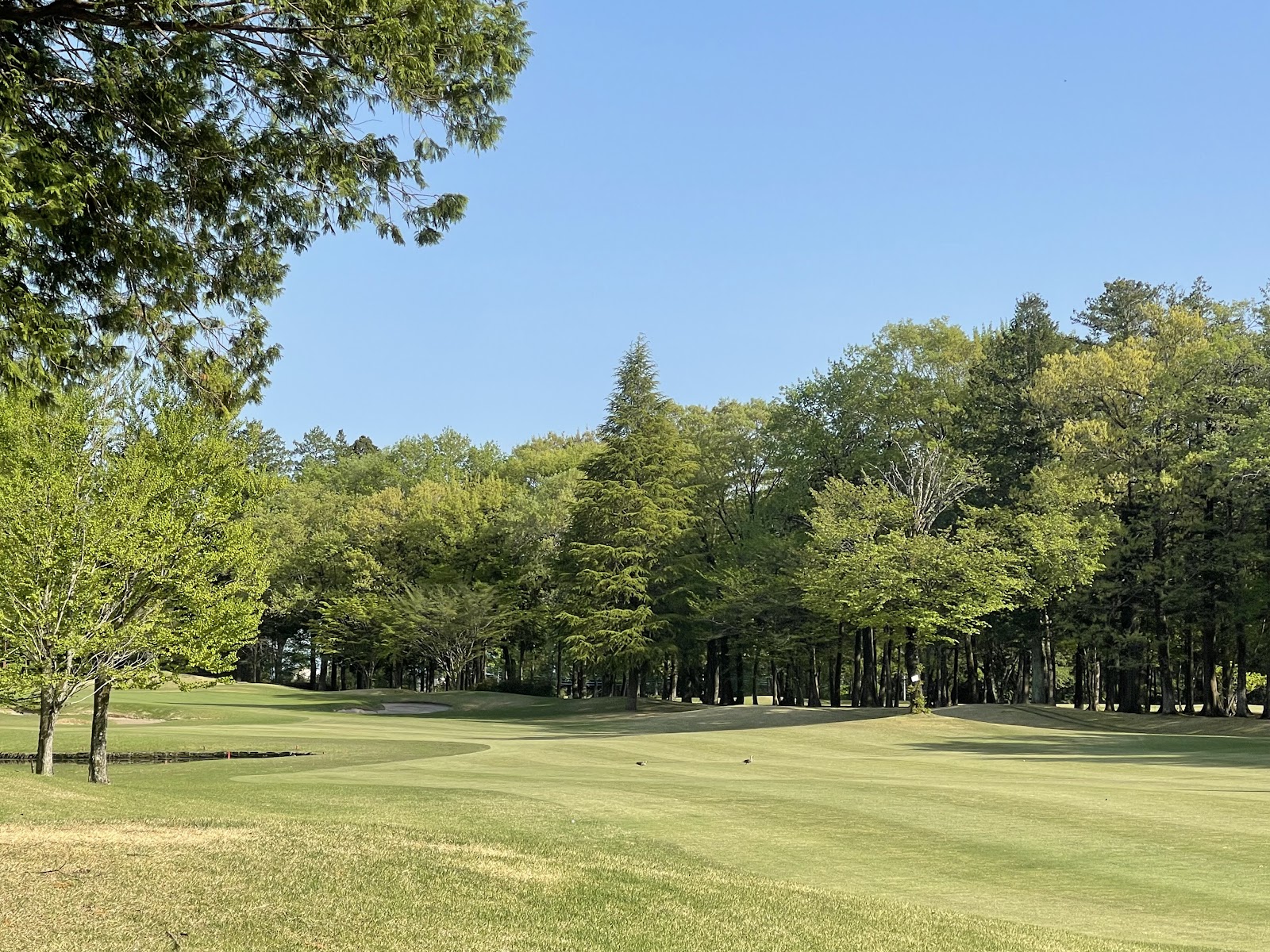 Miyanomori Country Club - 6