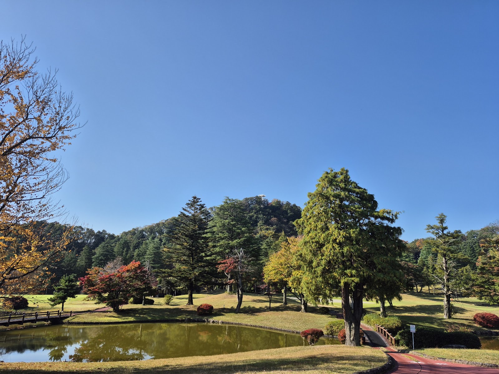 Tochigigaoka - 5