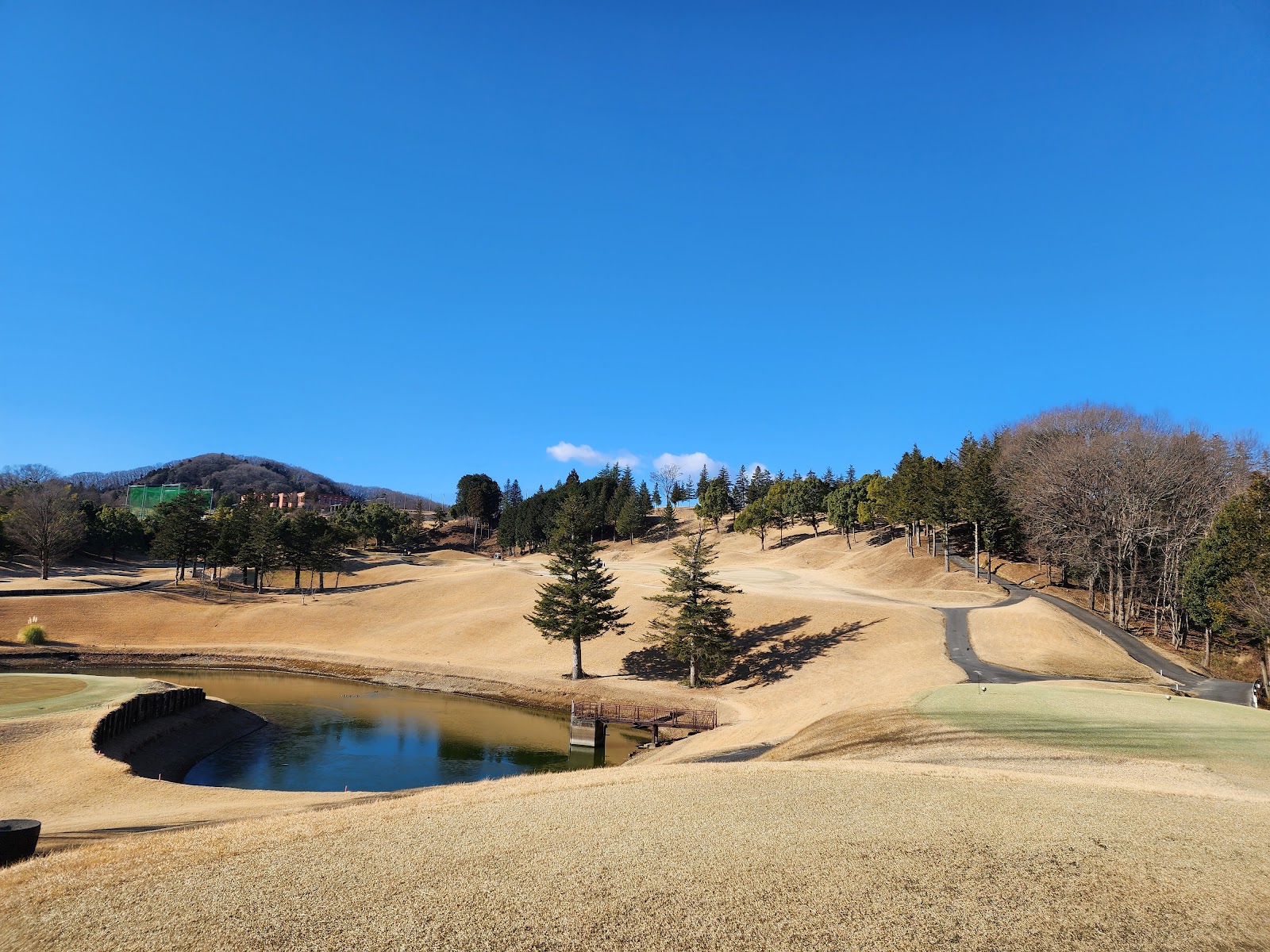 Olympic Staff Tsuga Golf Course - 3