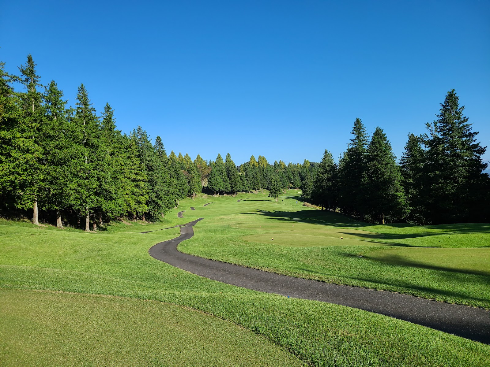 Prestige Country Club