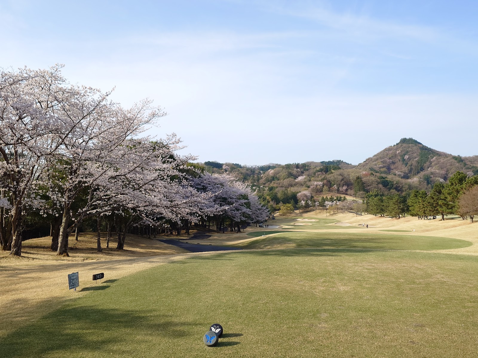 Gold Tochigi President Country Club - 6