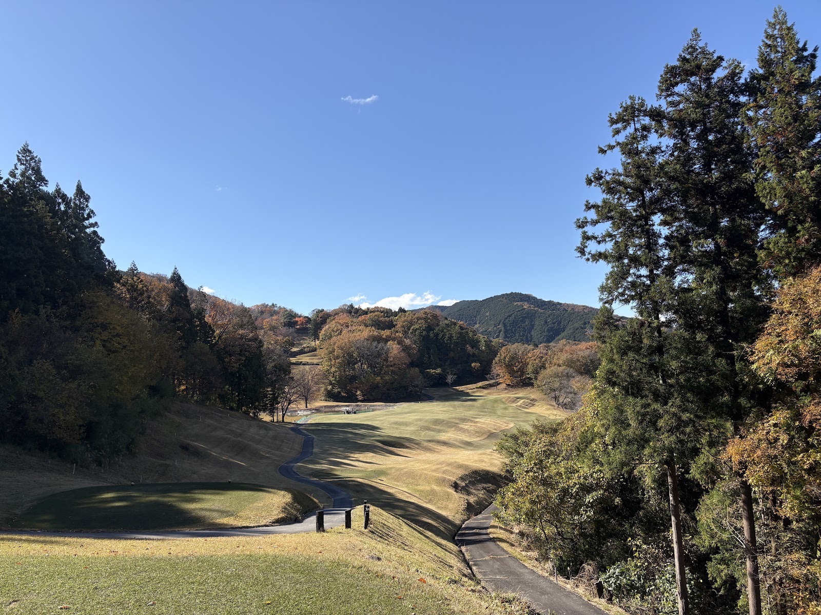 TOKYO North Hills Golf Course (Tarogemon) - 3