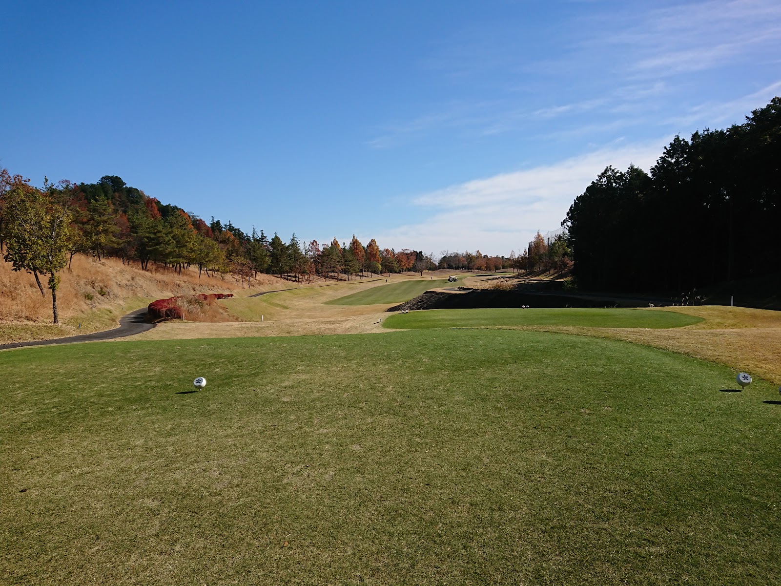 Azalea Hills Country Club - 3