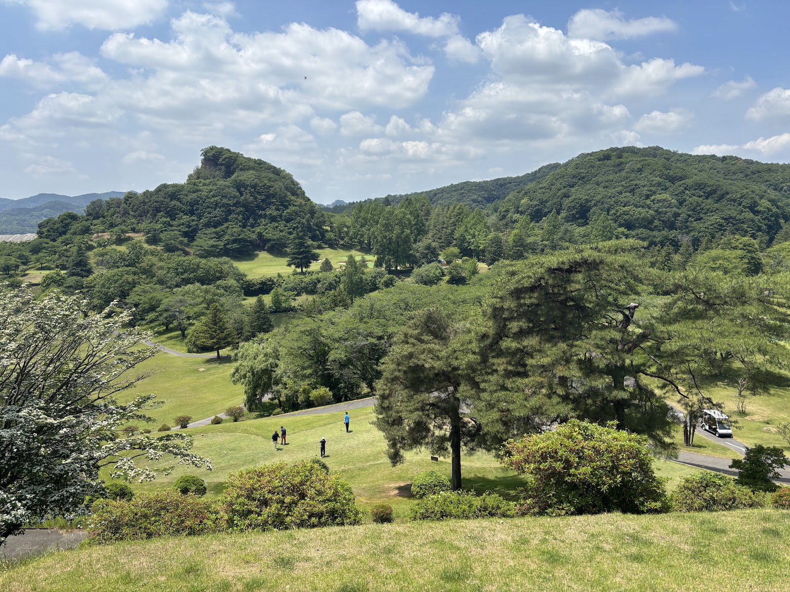 Tsuga Country Club - 2