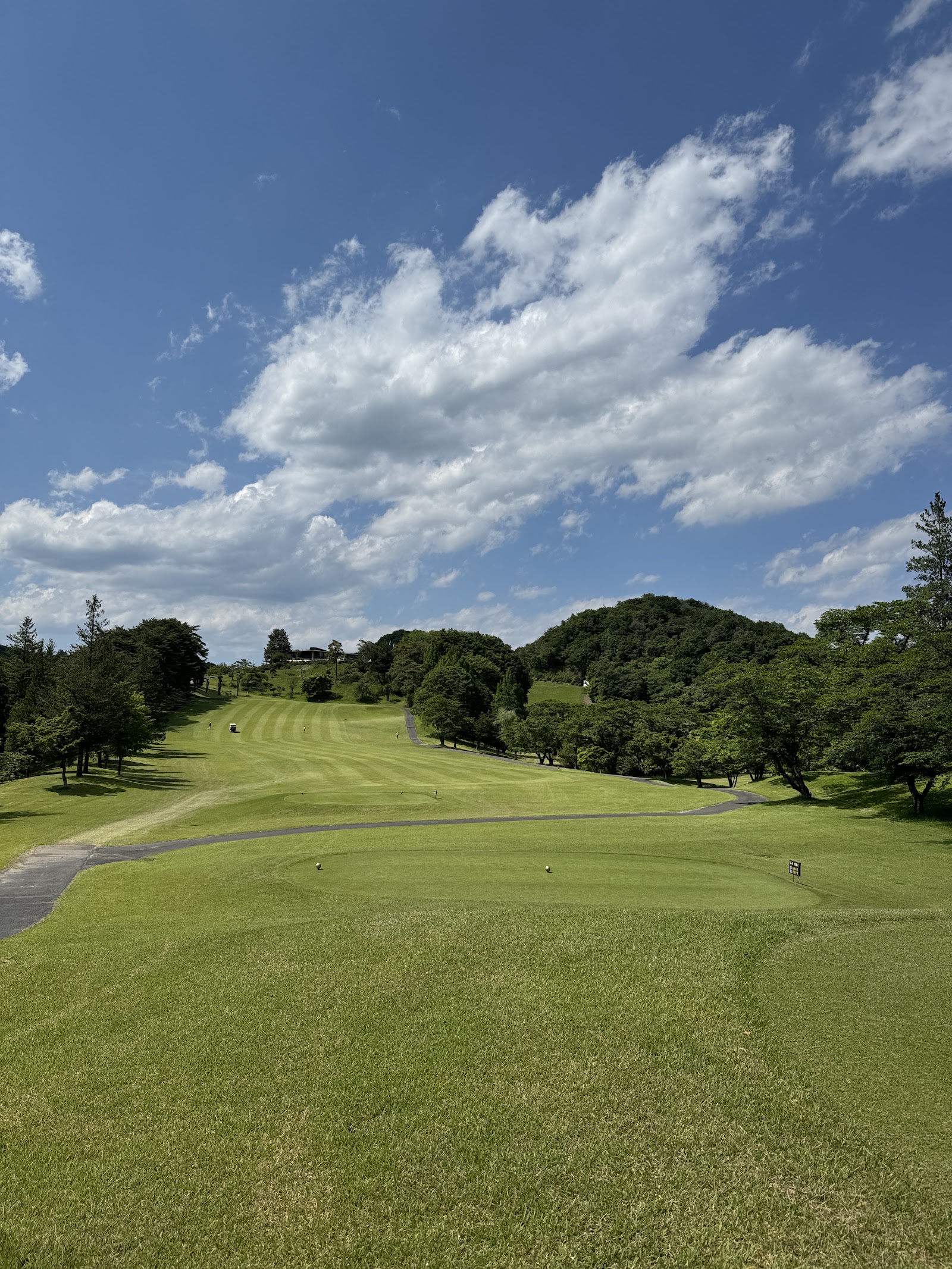 Tsuga Country Club - 3
