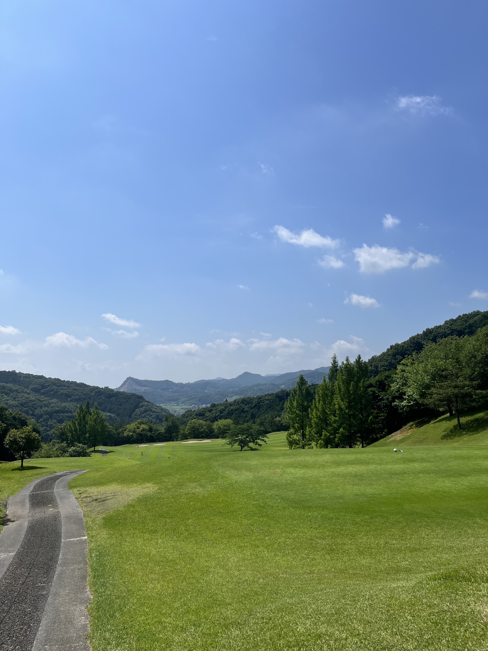 APA Resort Tochigi no Mori Golf Course - 4