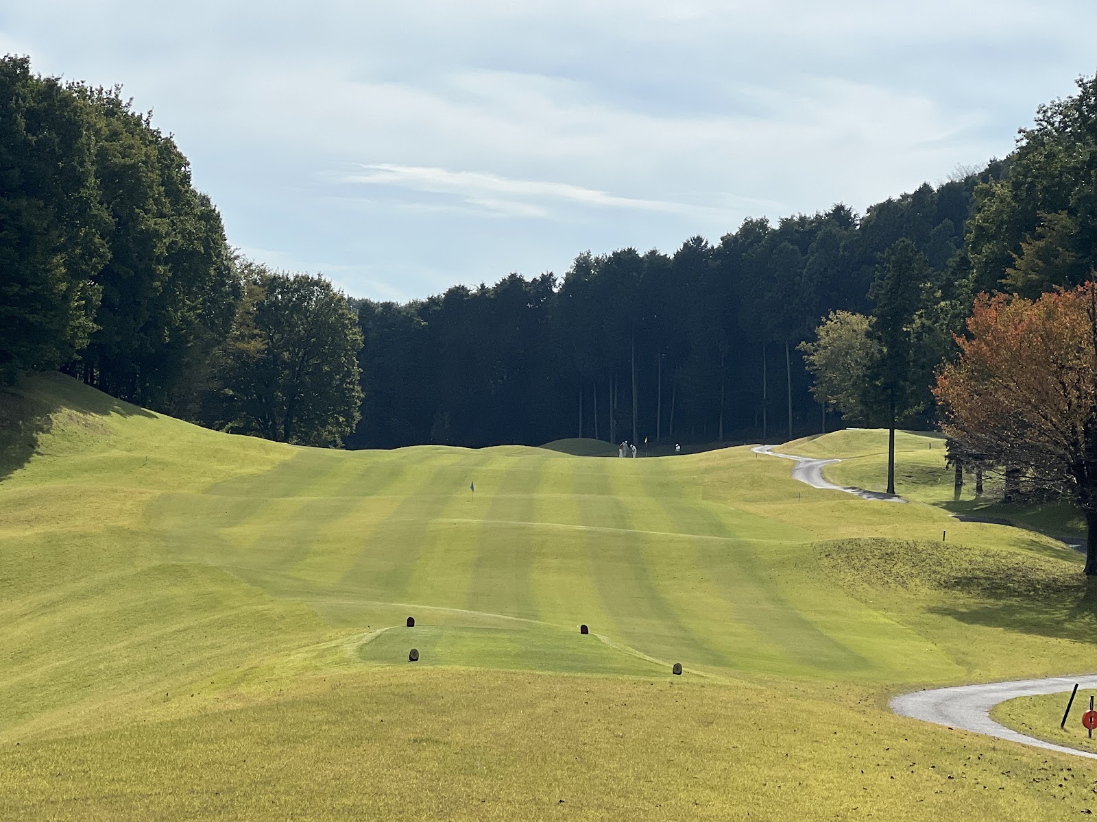 Thomson Country Club