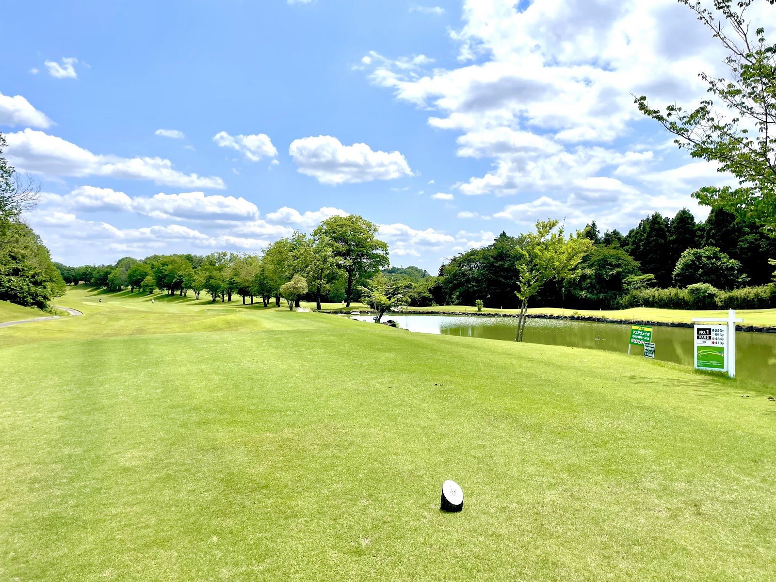 Thomson Country Club - 2
