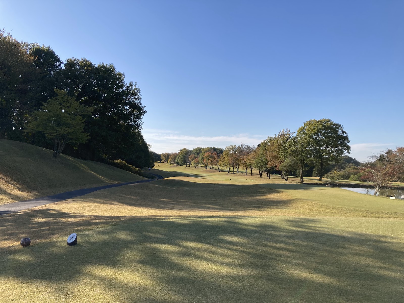 Thomson Country Club - 3