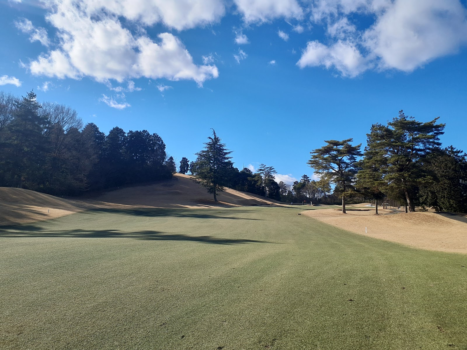 Deer Lake Country Club - 5