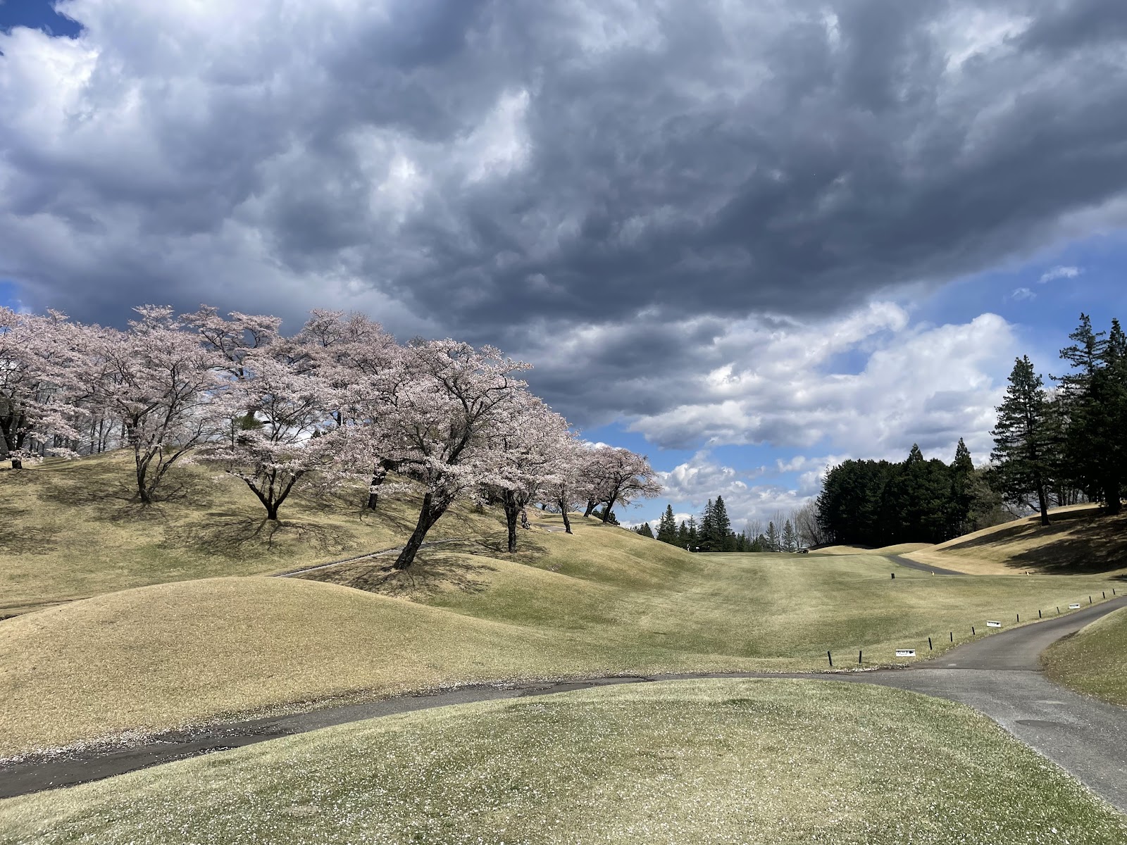 Pete Dye Golf Club Royal Course [PGM] - 5