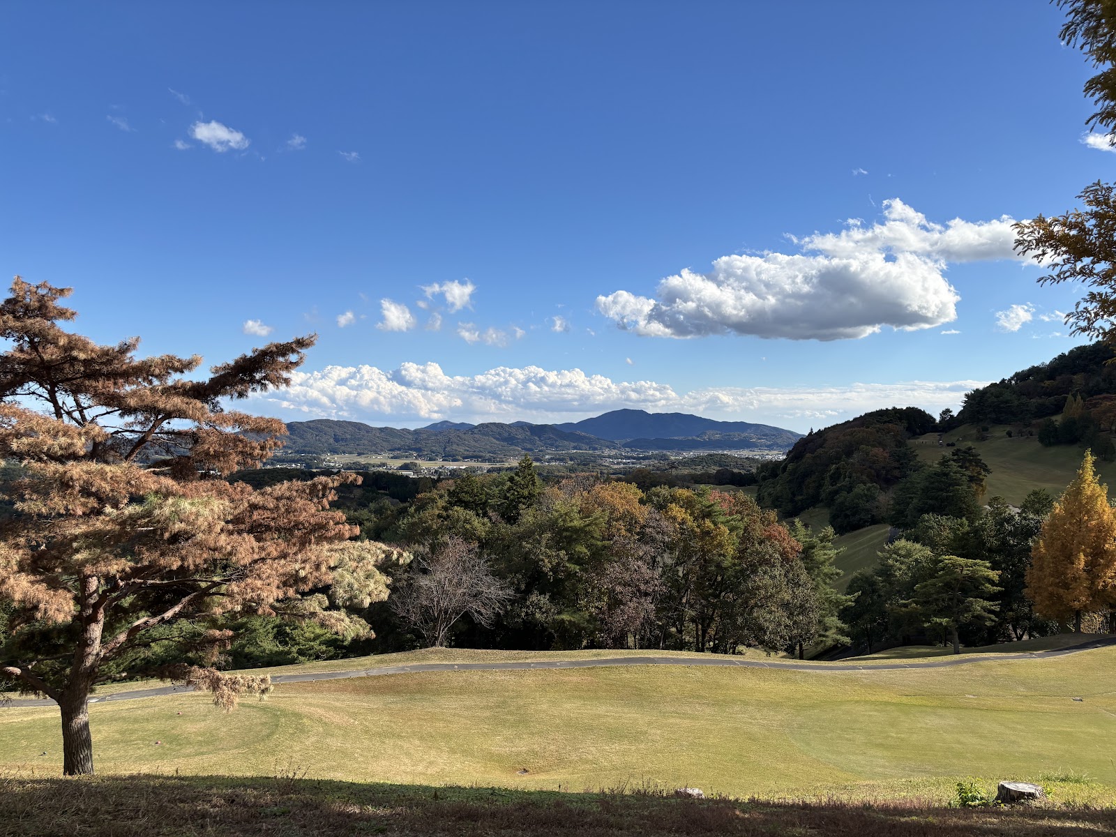 Iwase Sakuragawa Country Club - 2