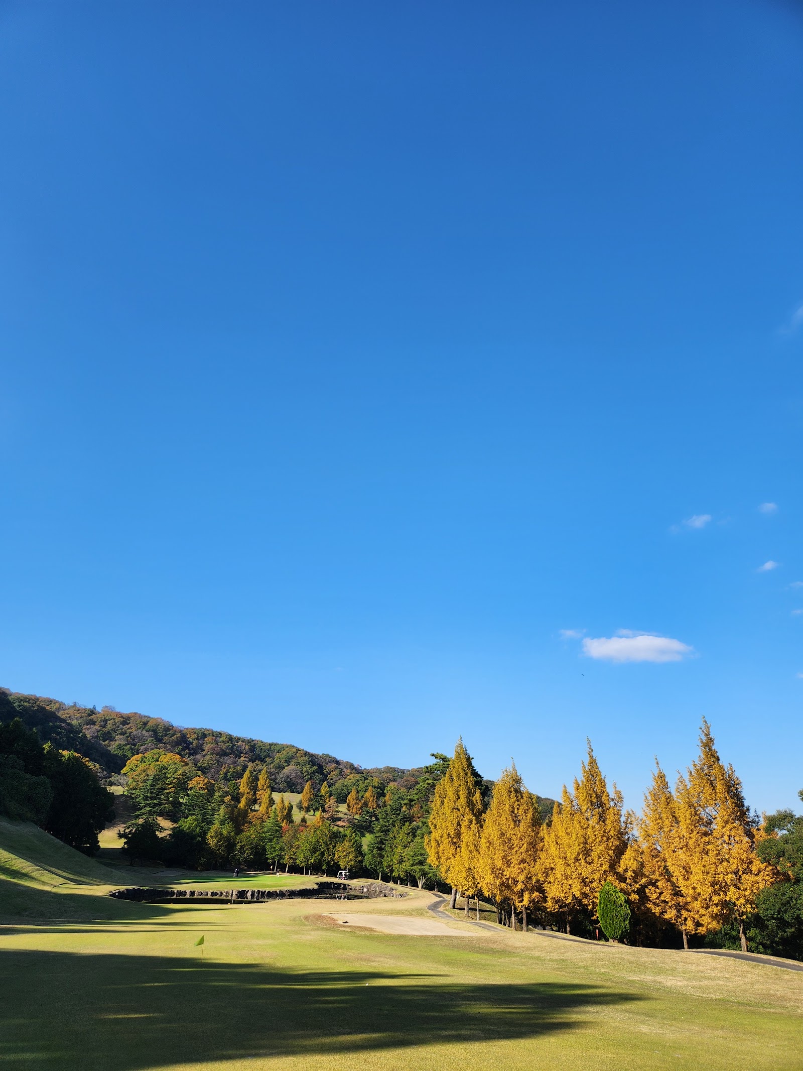 Iwase Sakuragawa Country Club - 5