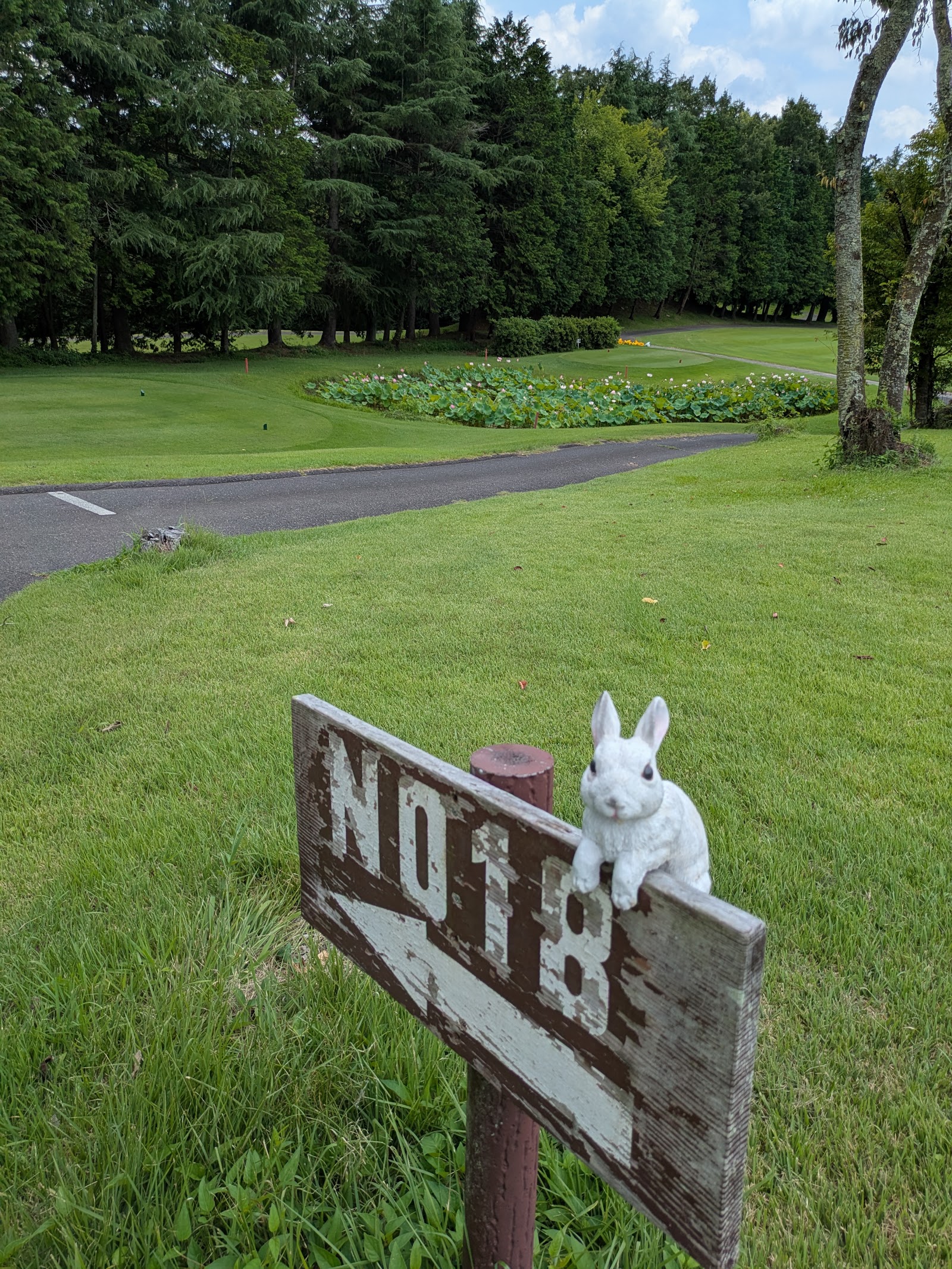 Mashiko Hills Golf Club - 3