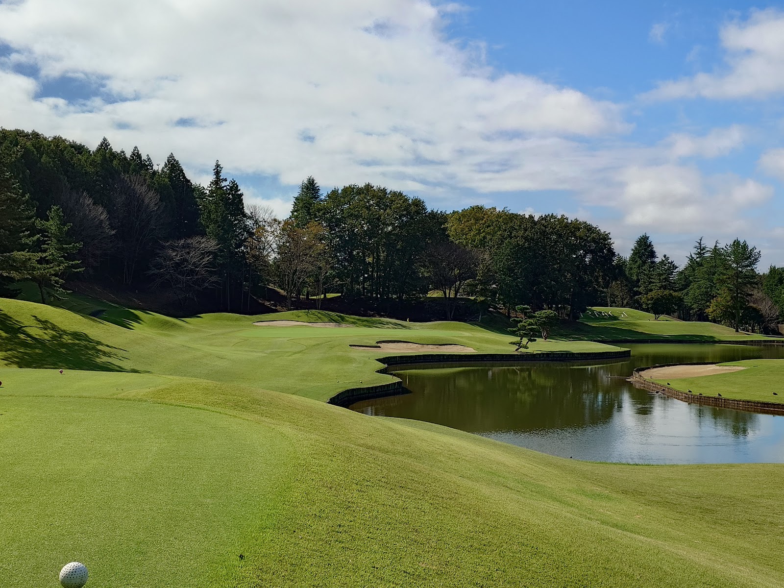 Royal Meadow Golf Stadium - 2
