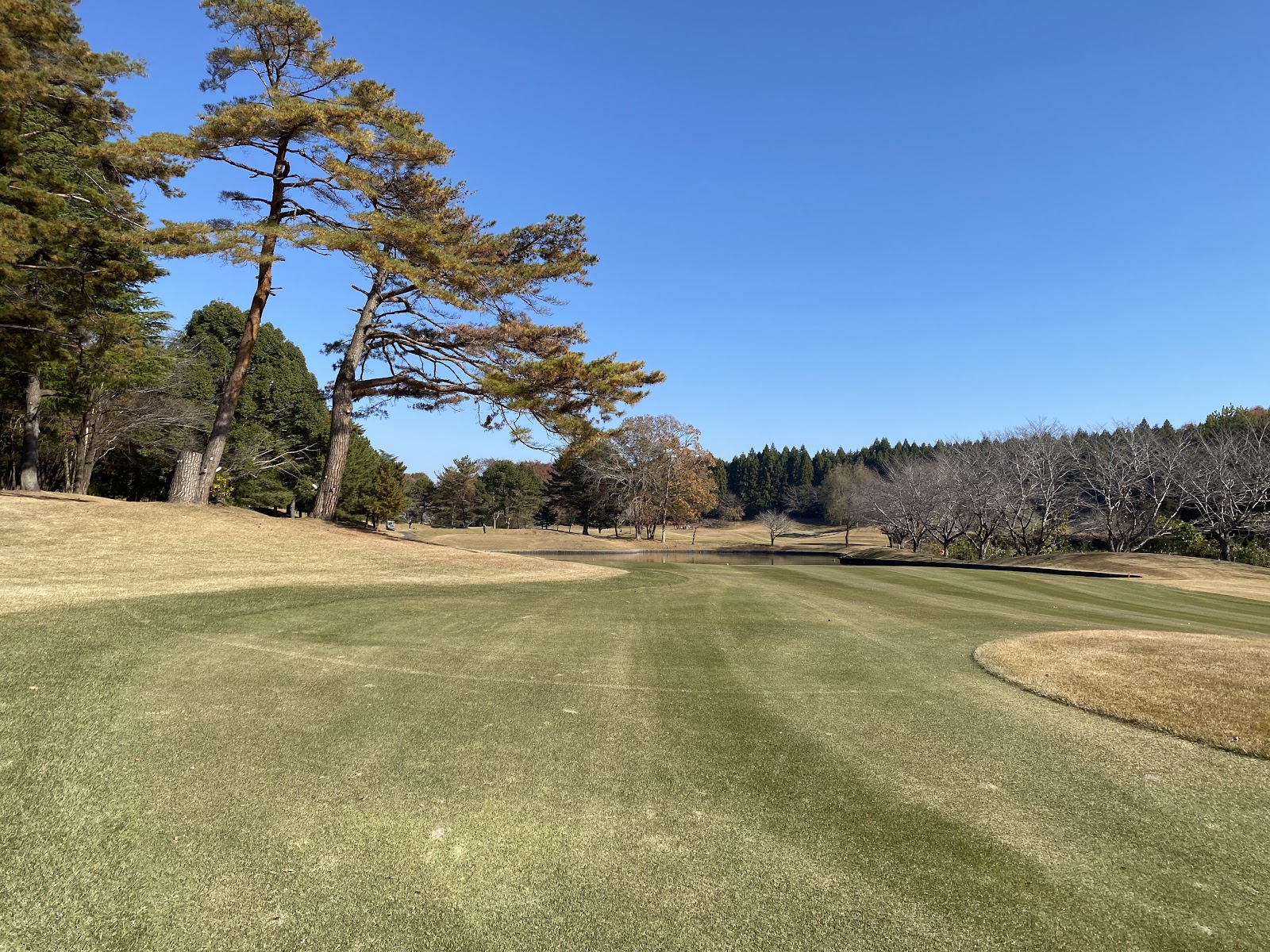 Royal Meadow Golf Stadium - 3