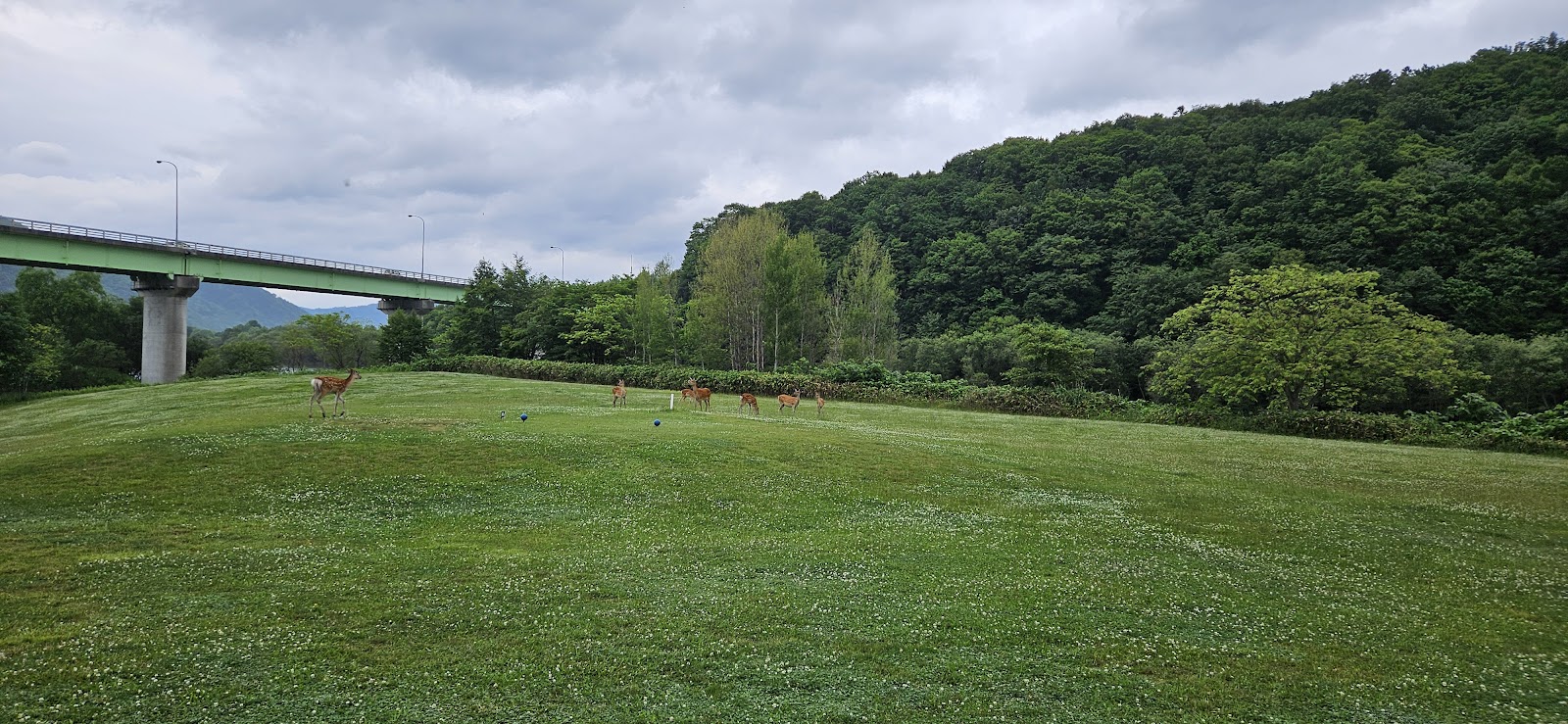 Kamishihoro Golf Course - 4