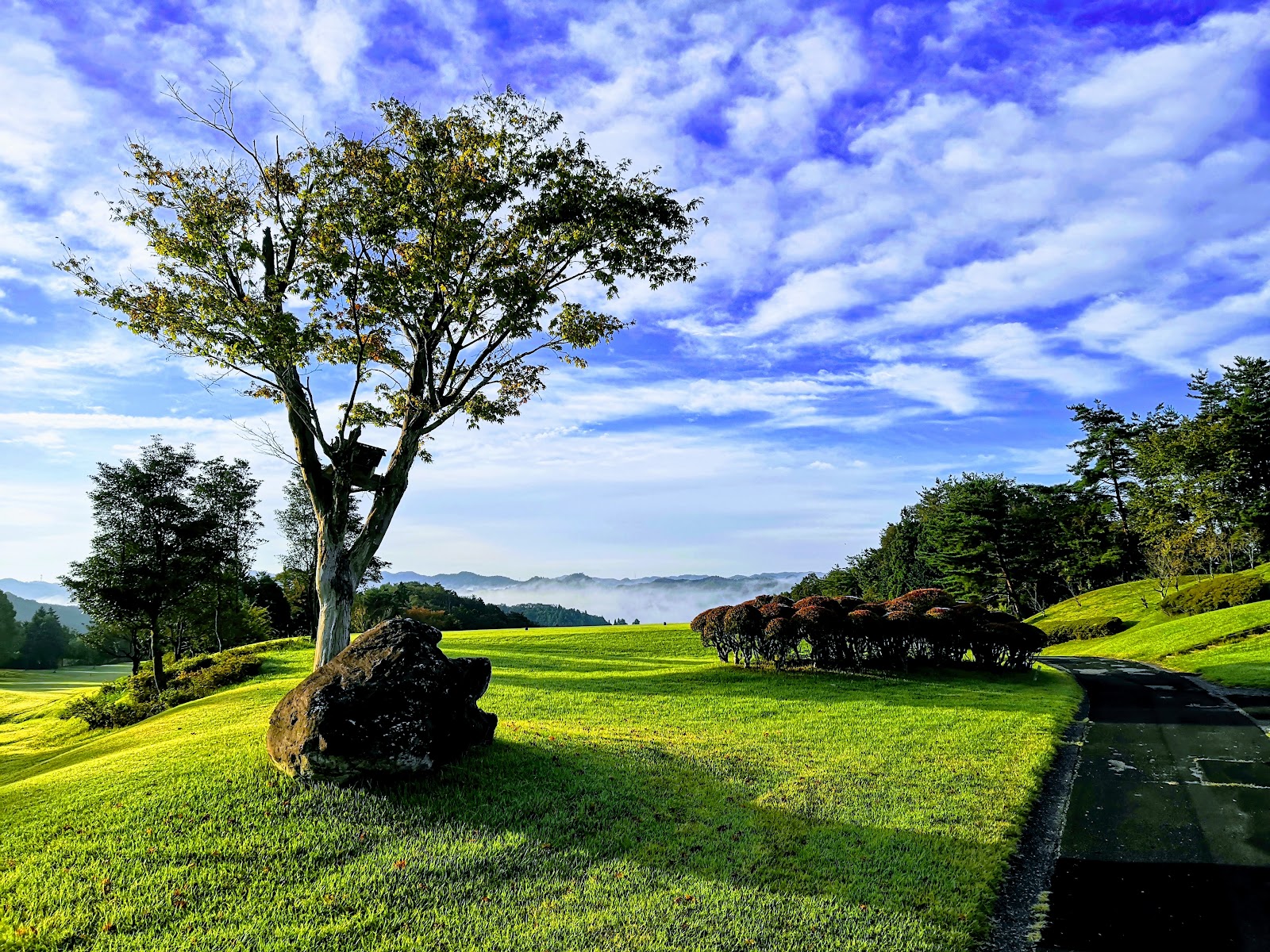 Uguisu no Mori Golf Club - 5