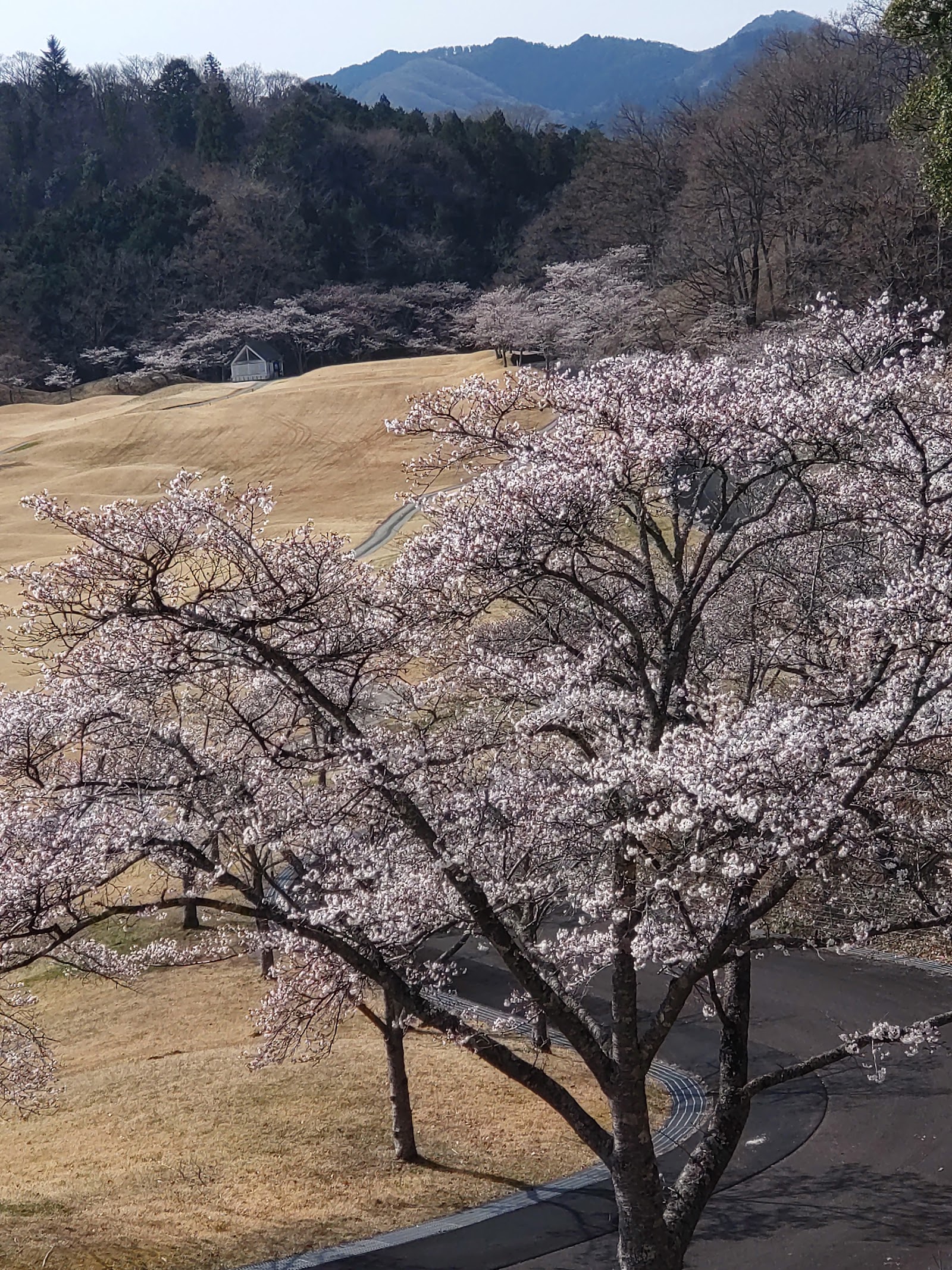 Fukuroda Fall Country Club Daigo Course
