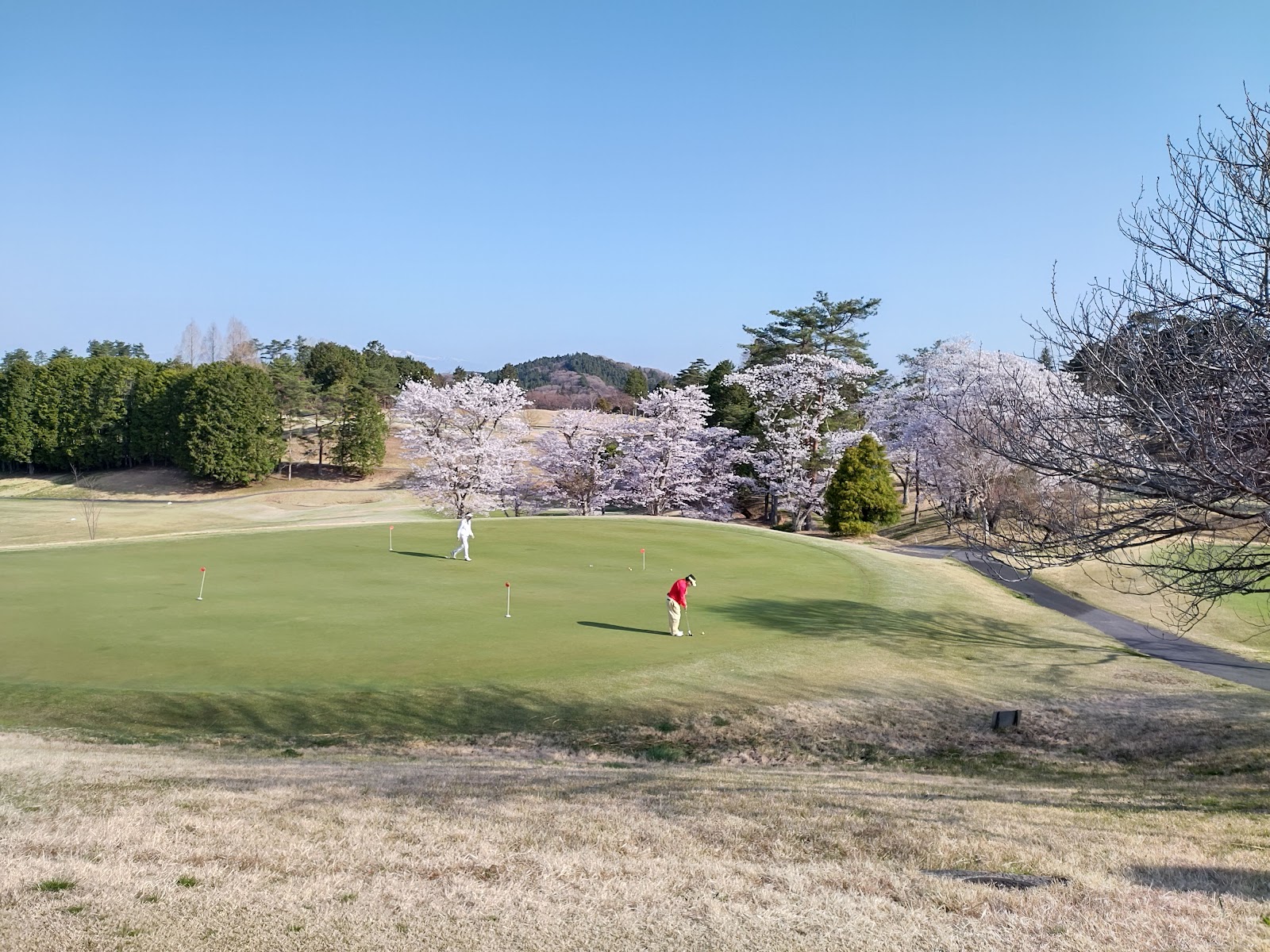 Nasu Kurokuromo Golf Club - 3
