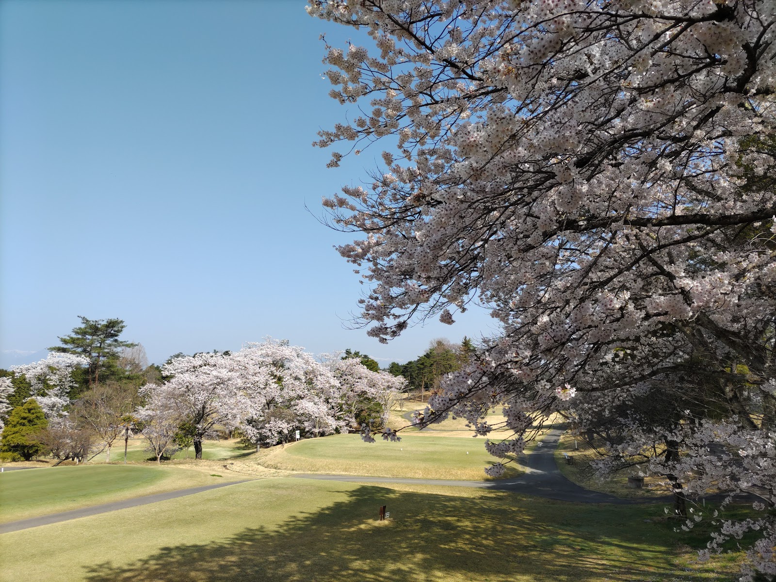 Nasu Kurokuromo Golf Club - 4