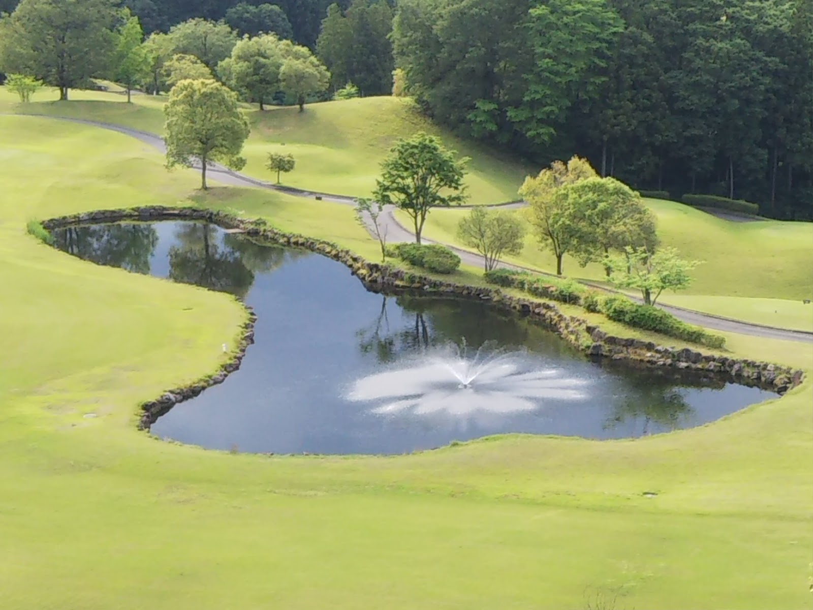 Golf Club Golden Wood