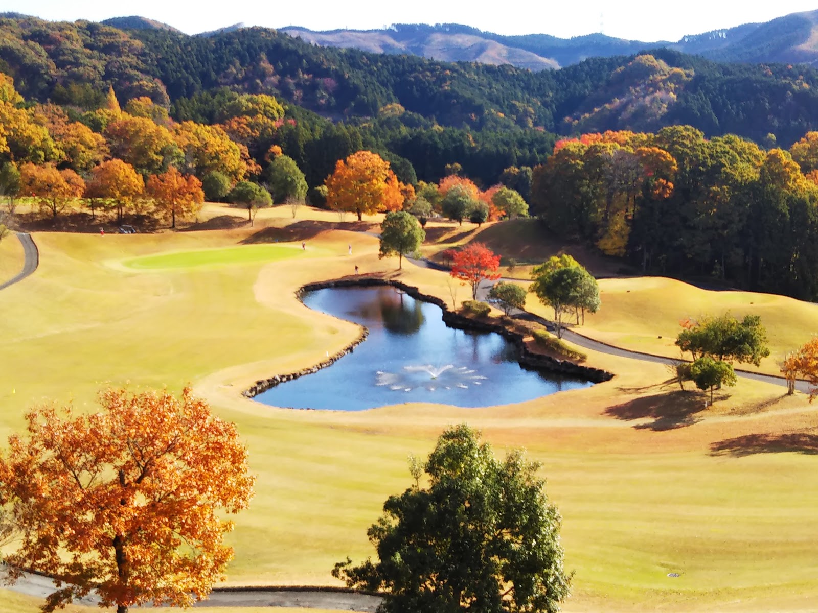 Golf Club Golden Wood - 2