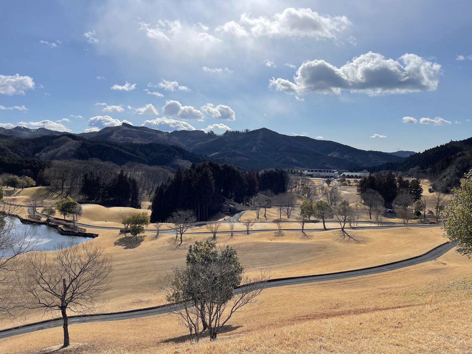 Golf Club Golden Wood - 3