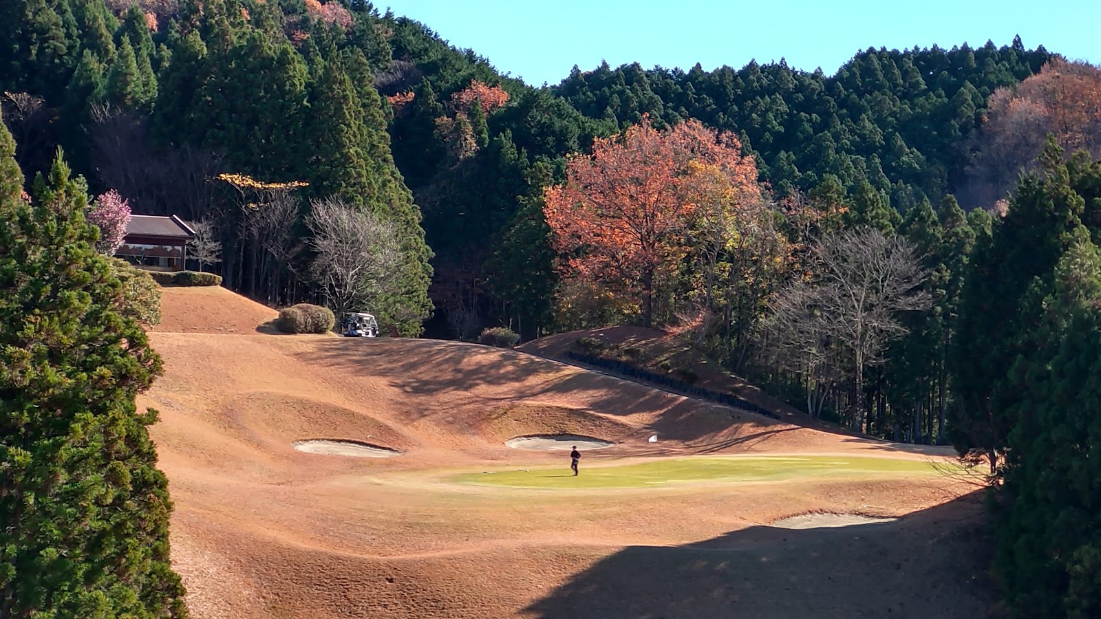 Golf Club Golden Wood - 6