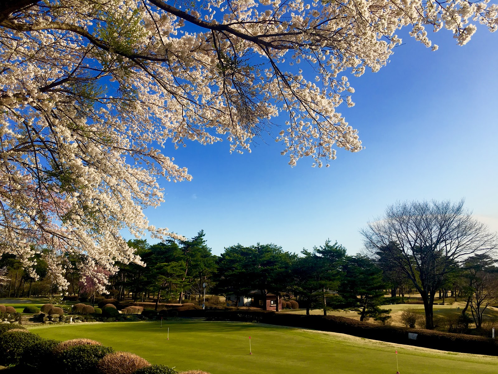 Shiobara Country Club - 3