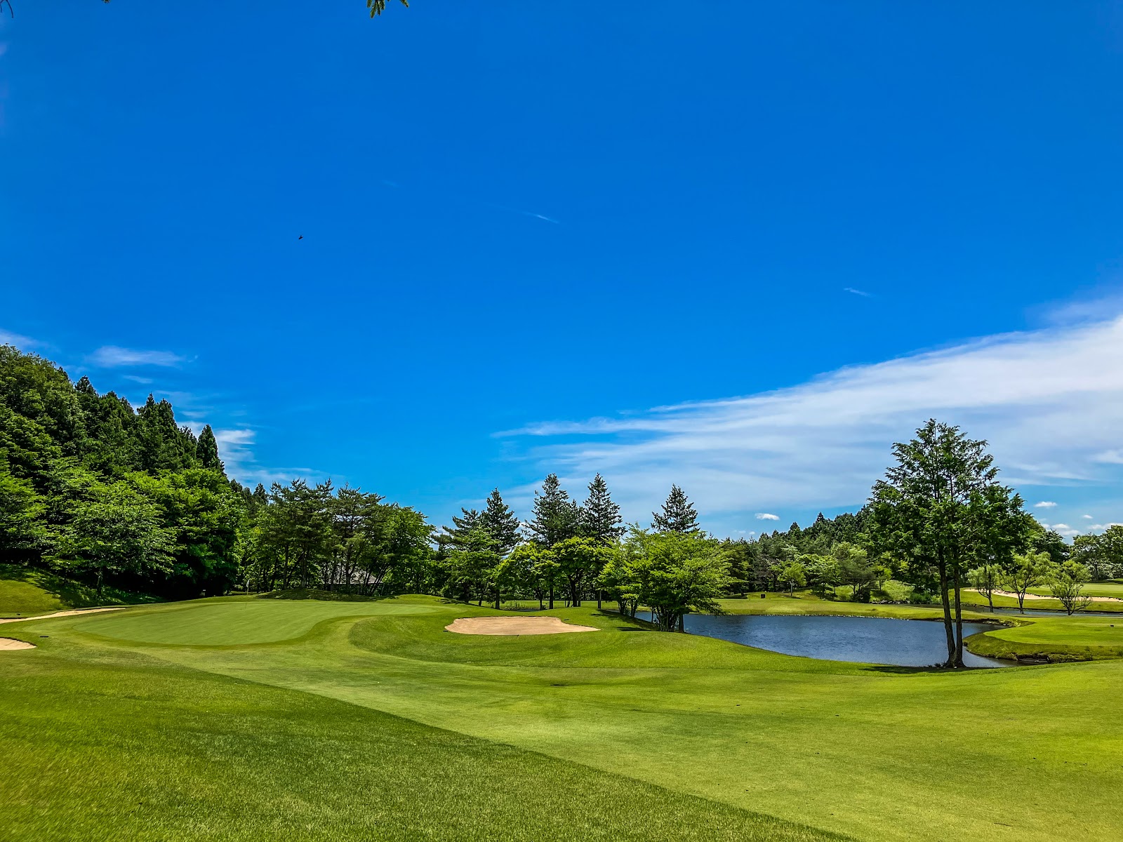 Mayflower Golf Club - 2