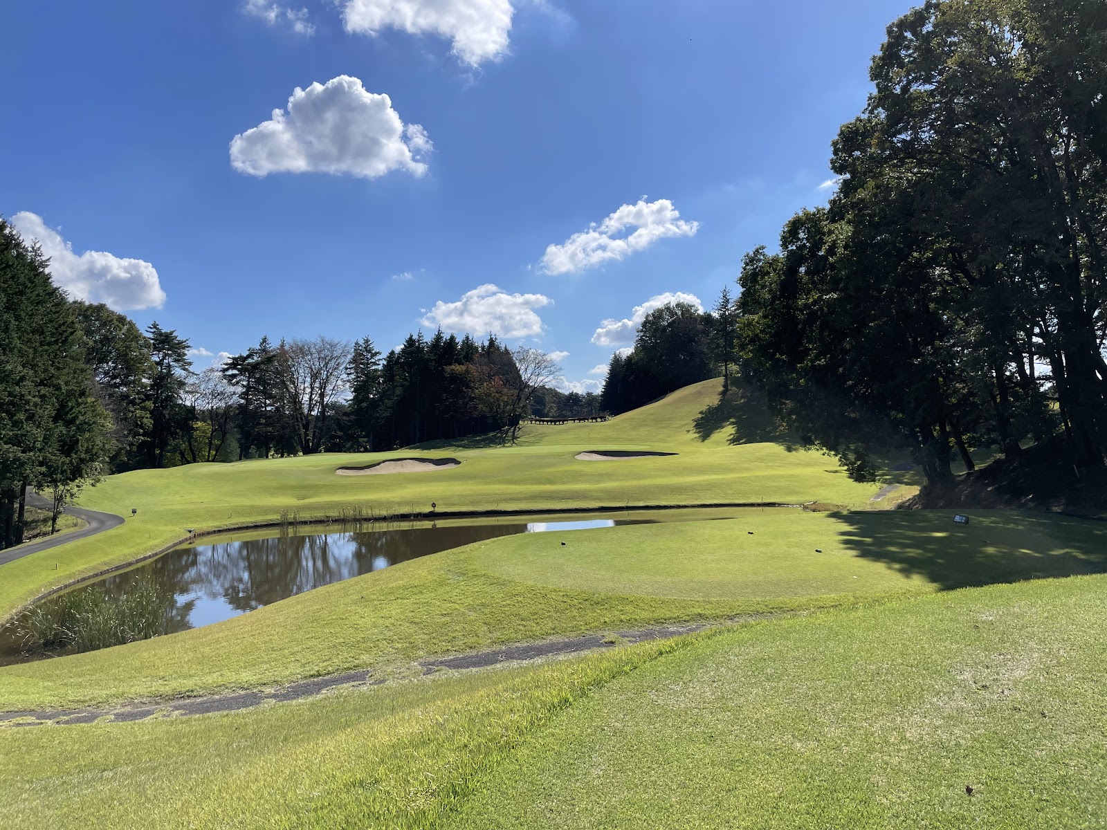 Daibihyō Country Club [PGM]