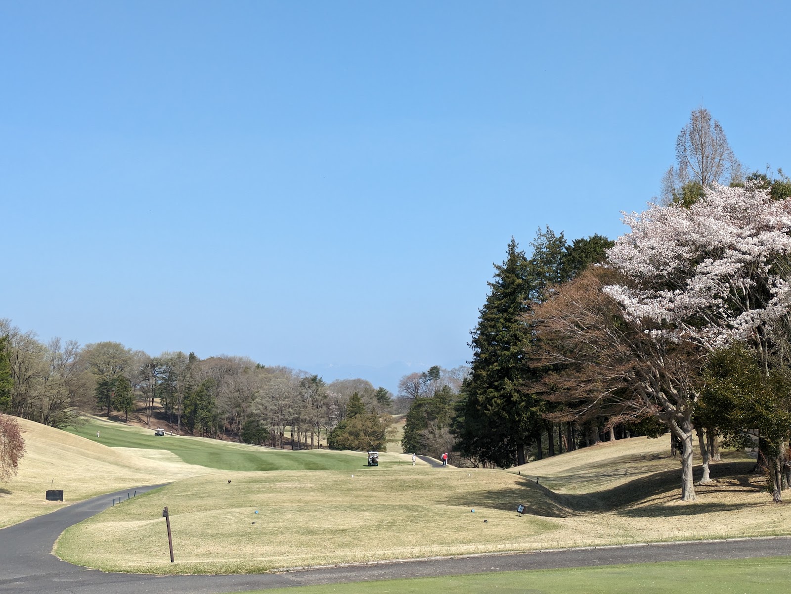 Daibihyō Country Club [PGM] - 6