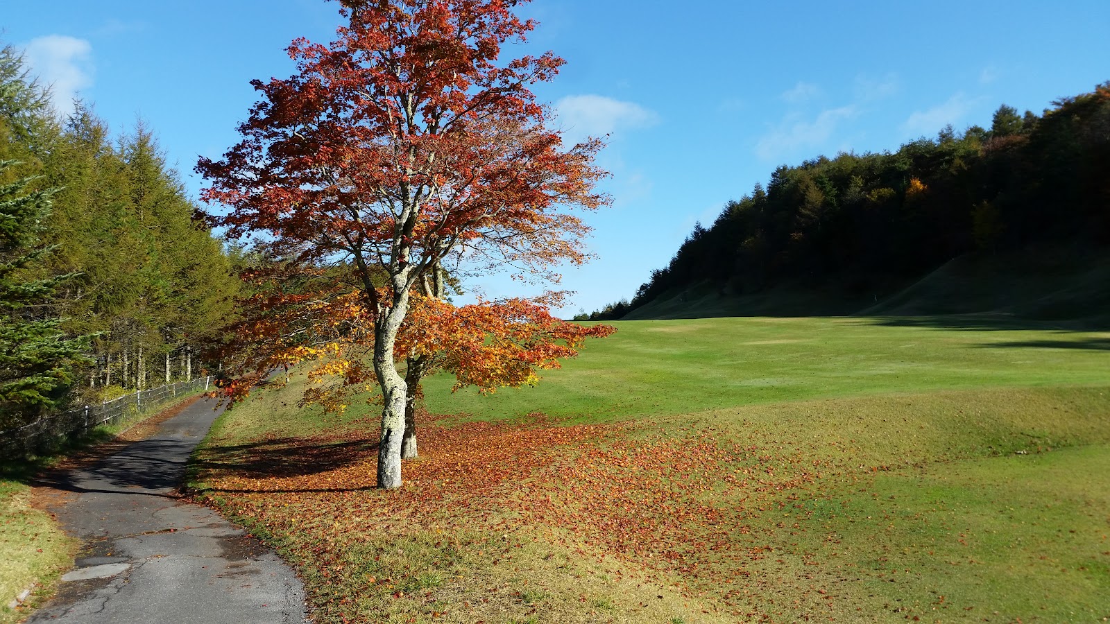 Kiyosato Early Bird Golf Club - 6