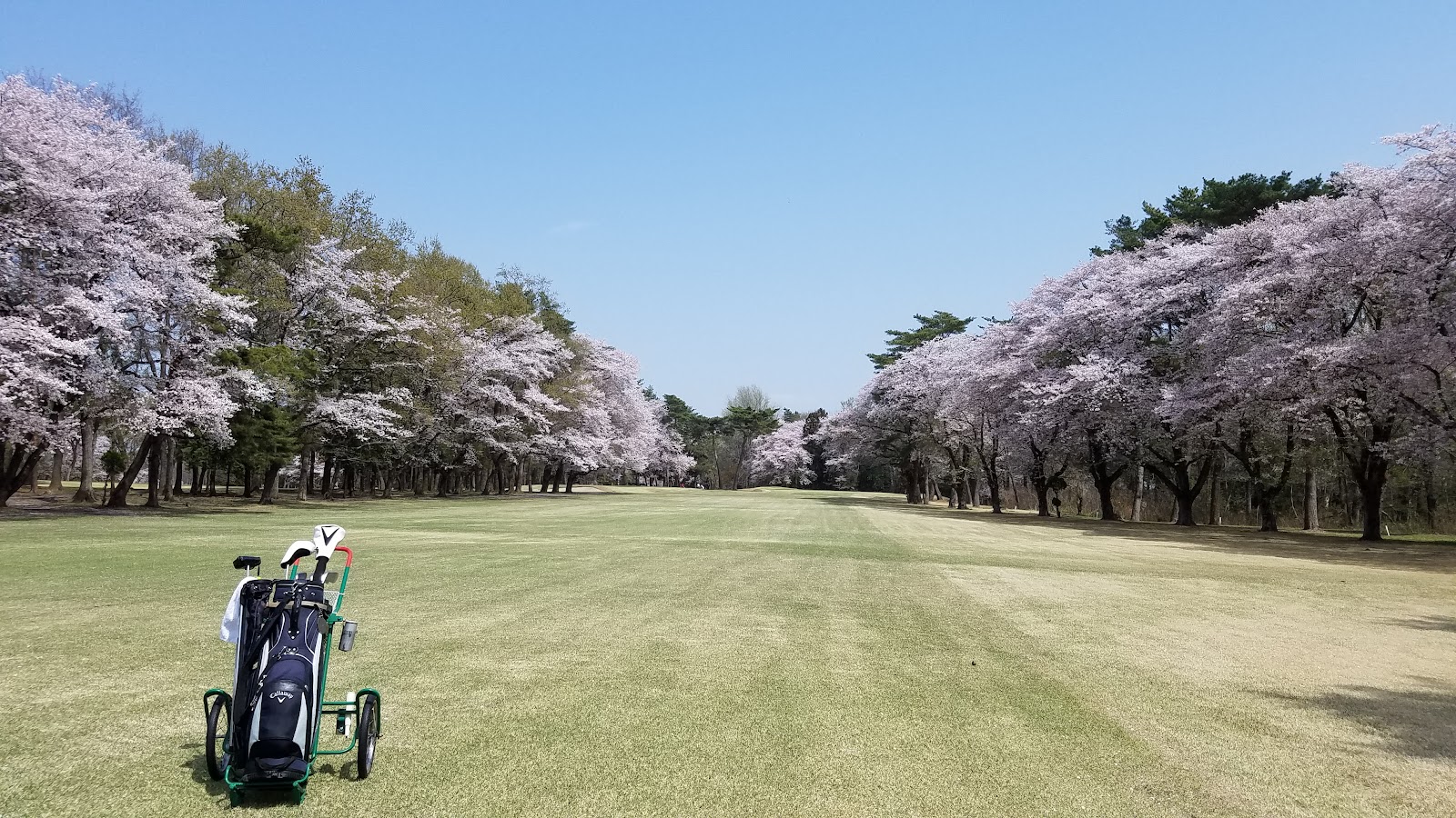 Oyama Golf Club