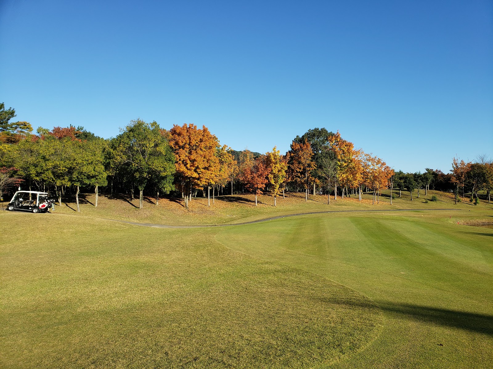 Gold Sano Country Club - 4