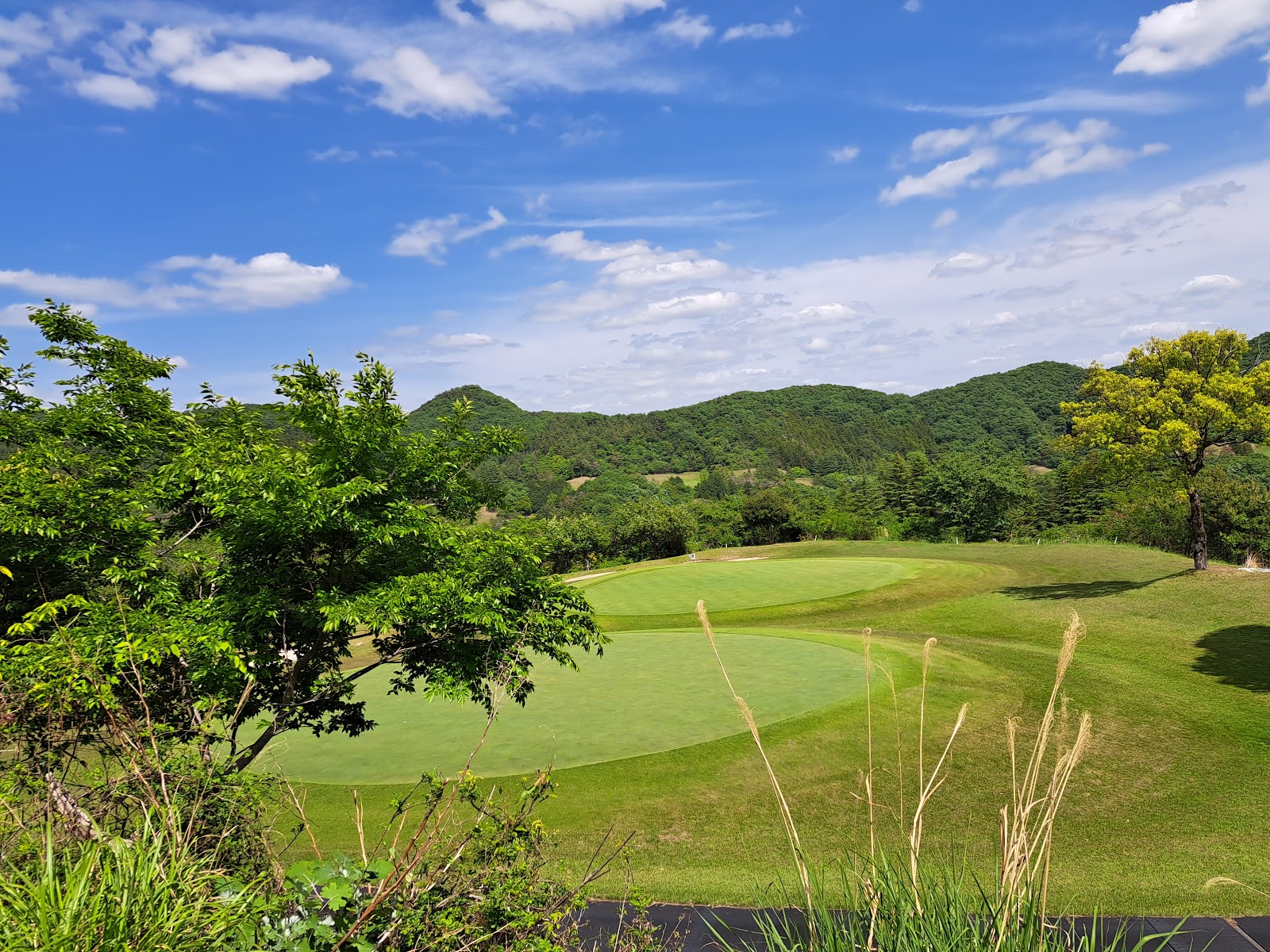 Ashikagajō Golf Club