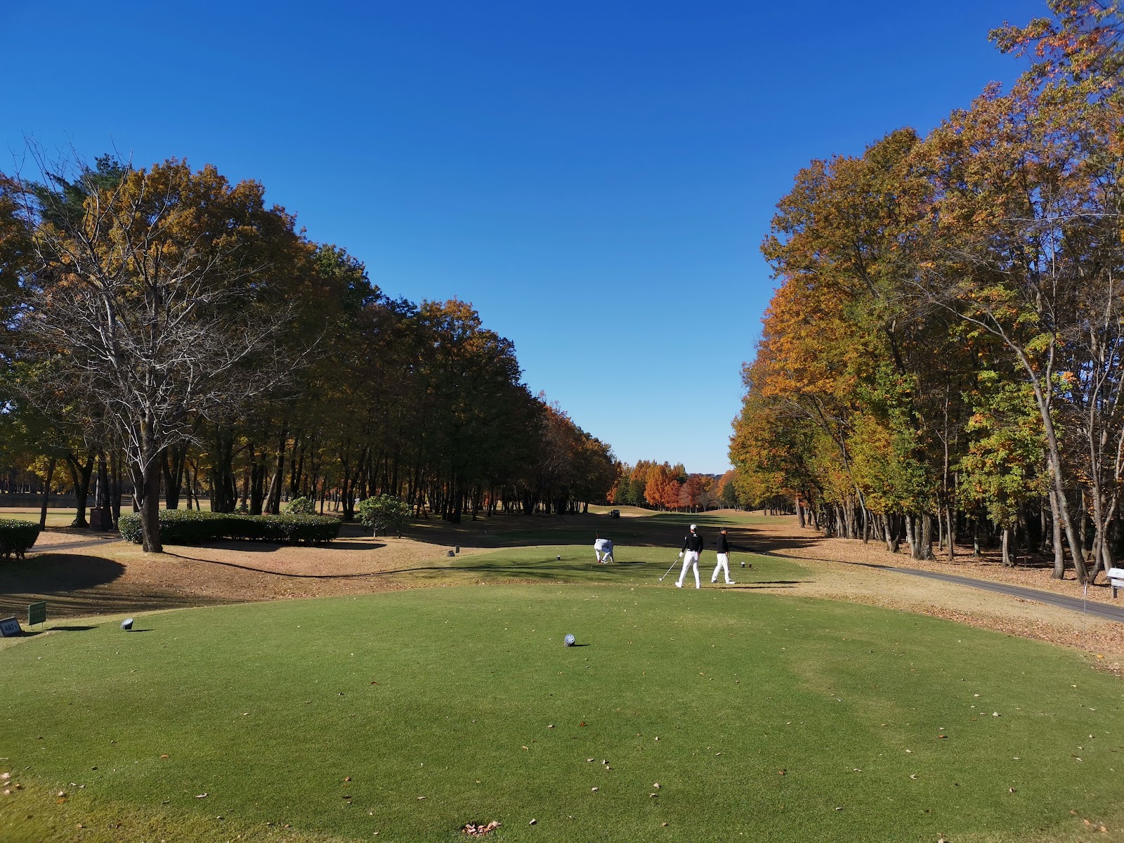 Tōbu Fujigaoka Country Club - 2