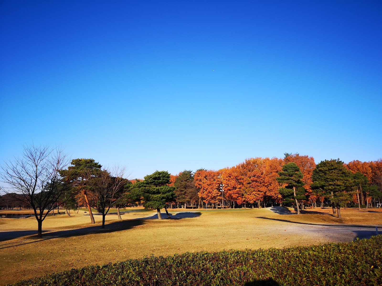 Tōbu Fujigaoka Country Club - 5