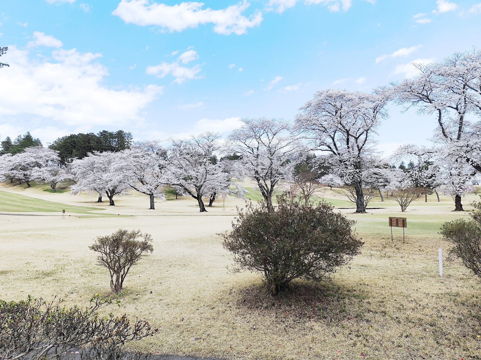 Utsunomiya Country Club - 3